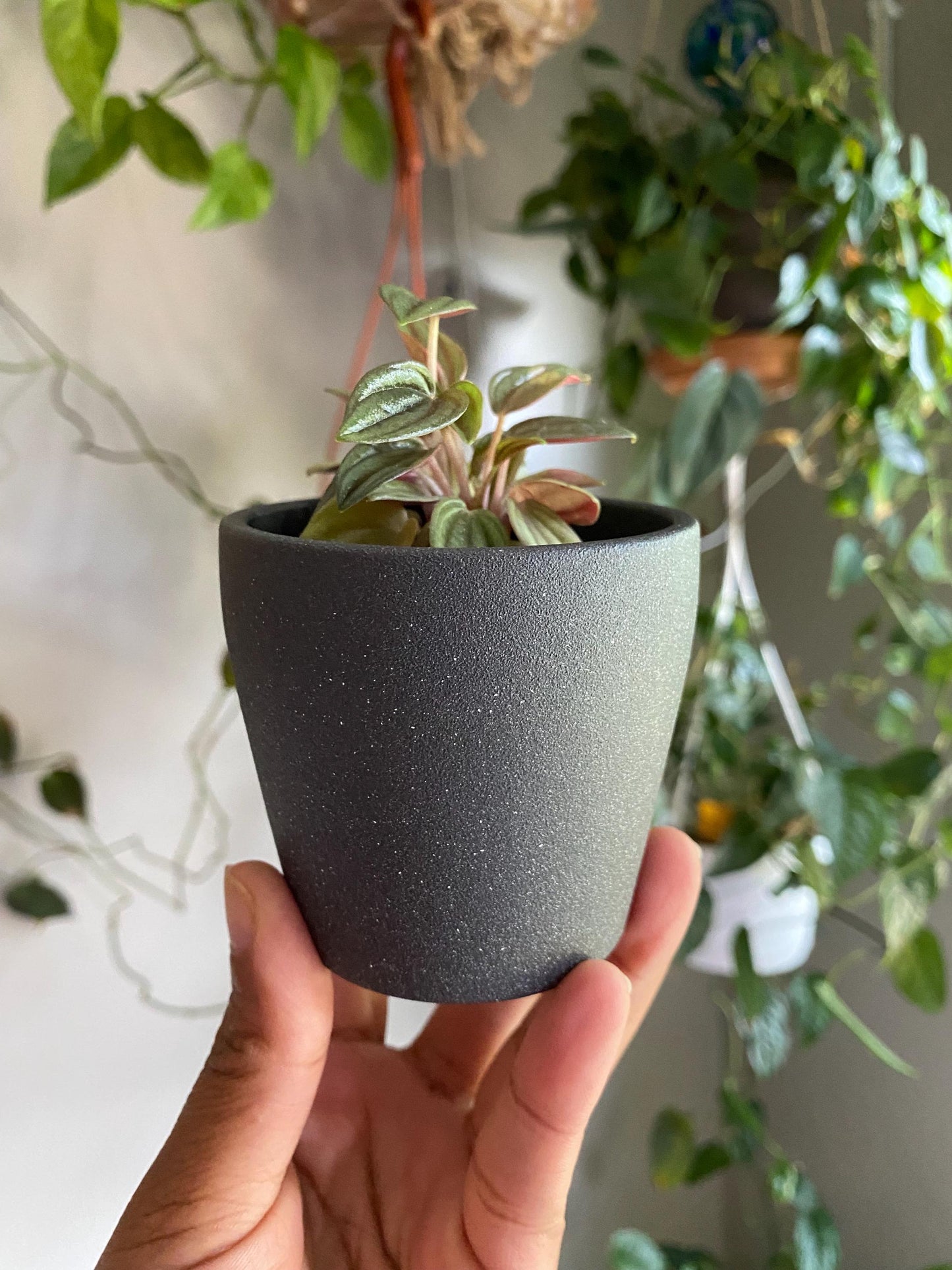 Speckled Ceramic Pot - 2 Inch