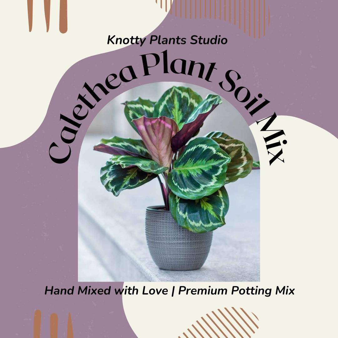 Calethea Soil Mix - Custom Soil - Organic