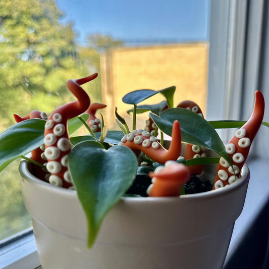 Orange Sea Creature Tentacles