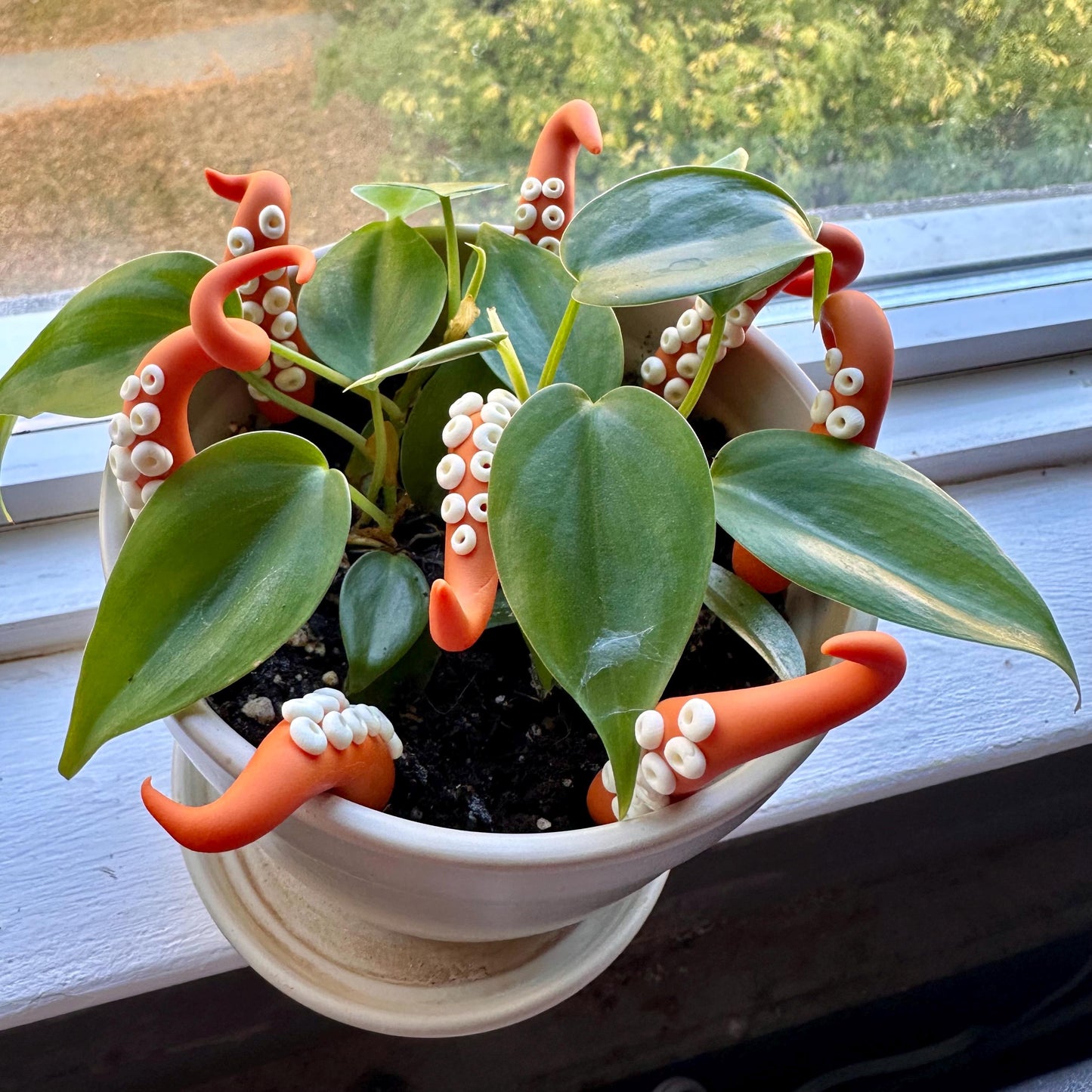 Orange Sea Creature Tentacles