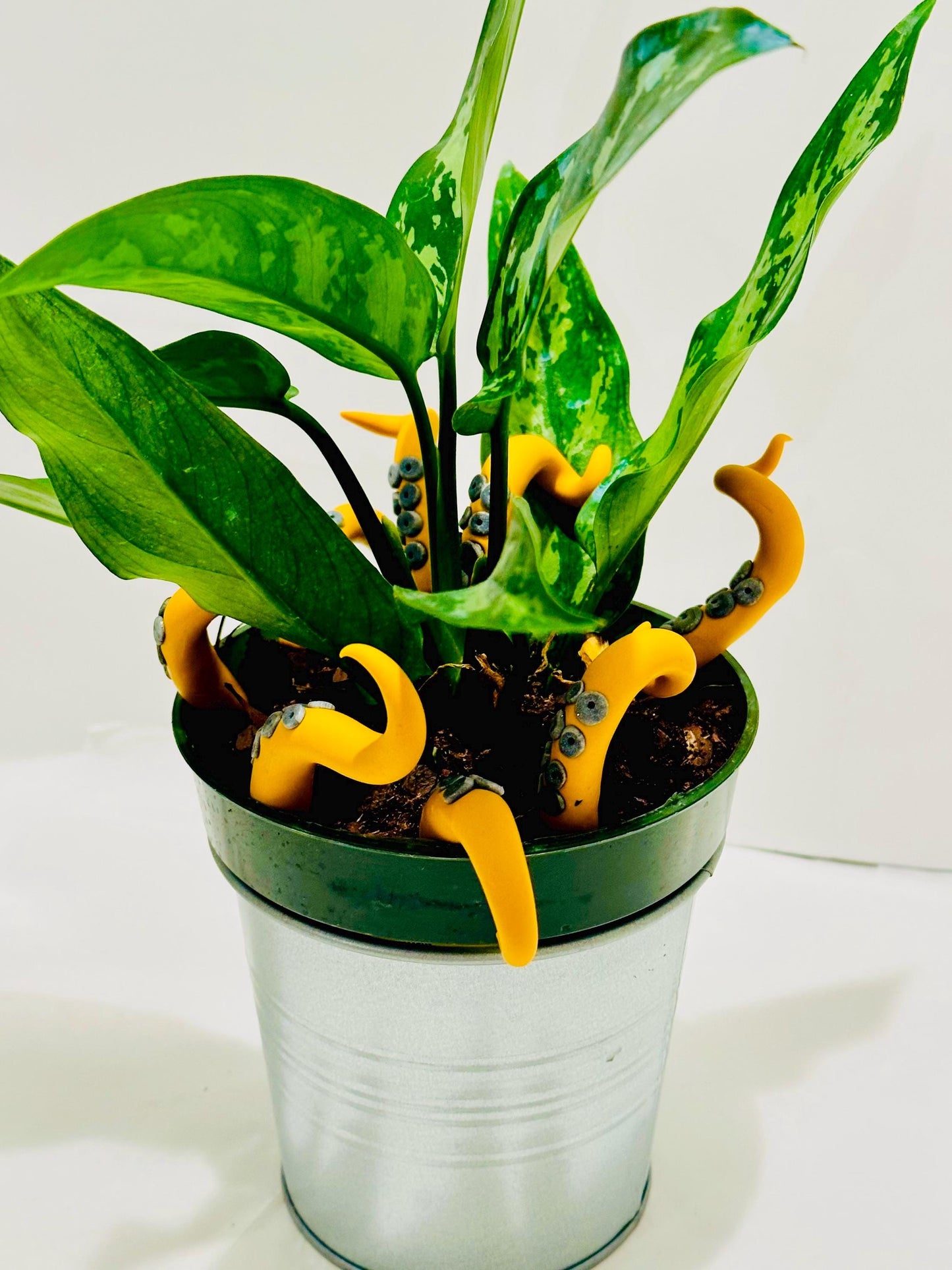 Mustard and Black Sea Creature Tentacles