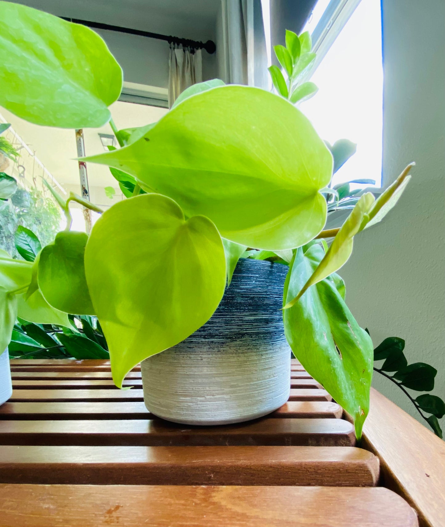 4-Inch Onbre White, Blue, Grey, Black Textured Catcher Pot - Catch Pot