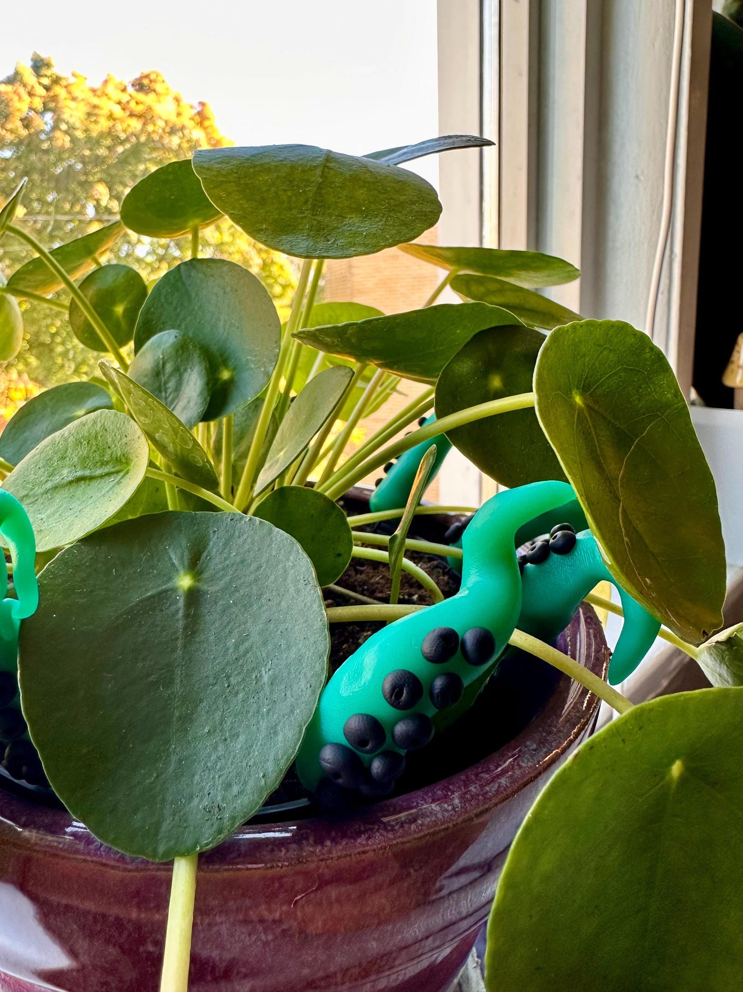 Green & Black Sea Creature Tentacles