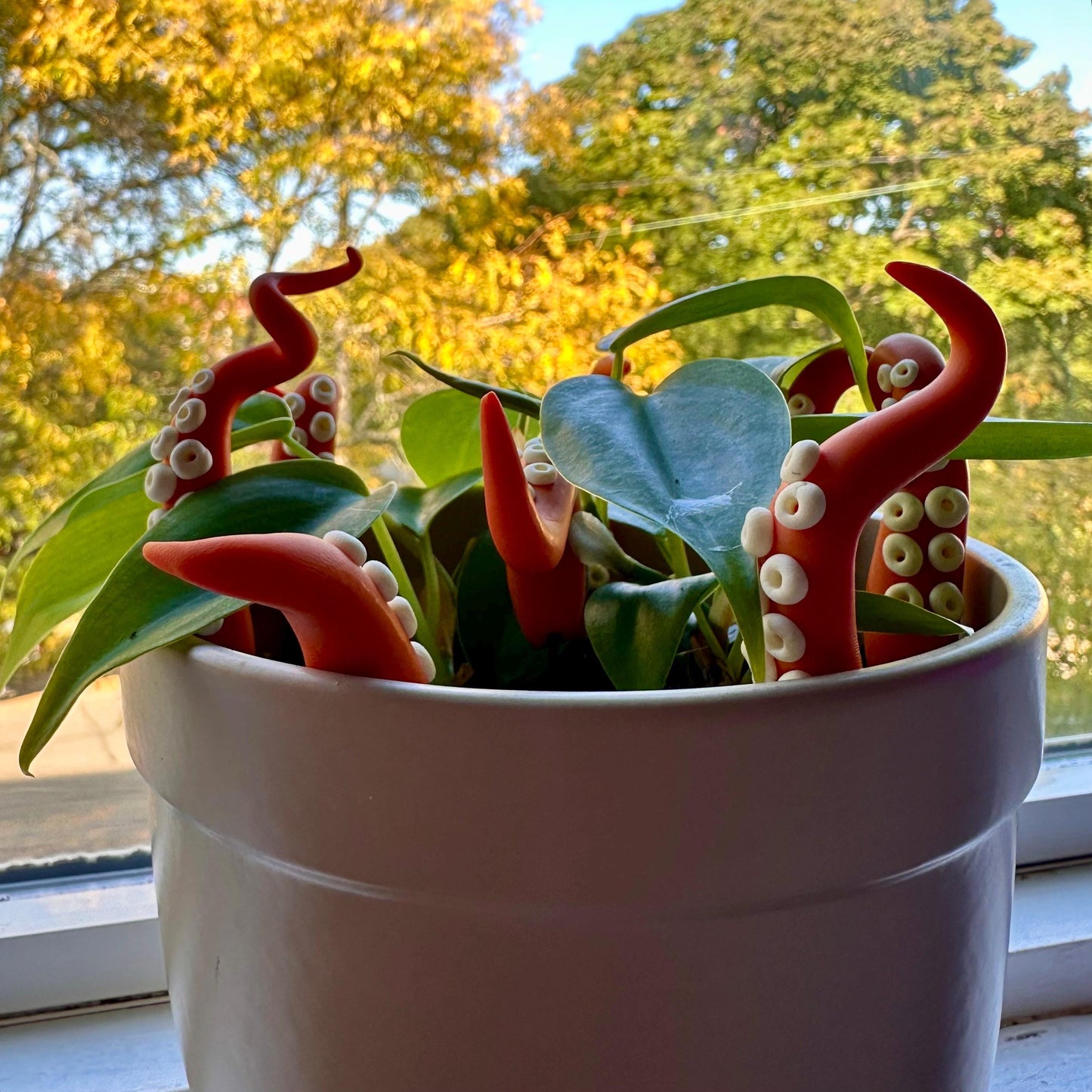 Orange Sea Creature Tentacles