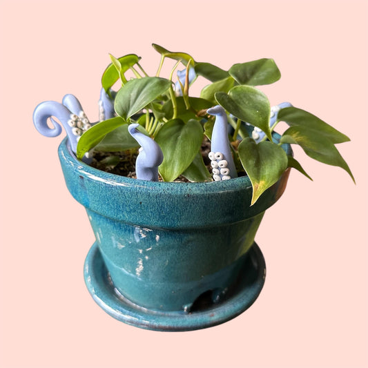 Light Blue Sea Creature Tentacles