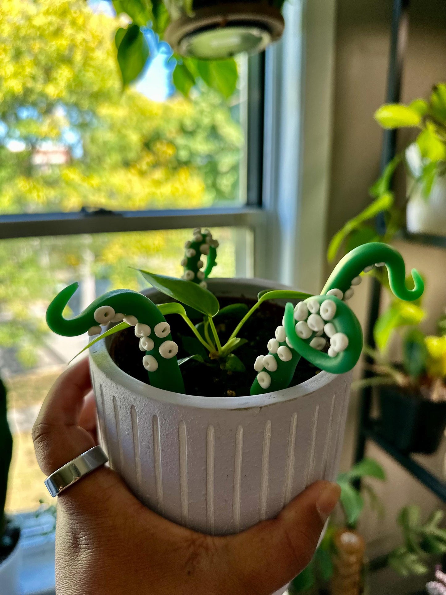 Green (semi-translucent) Sea Creature Tentacles