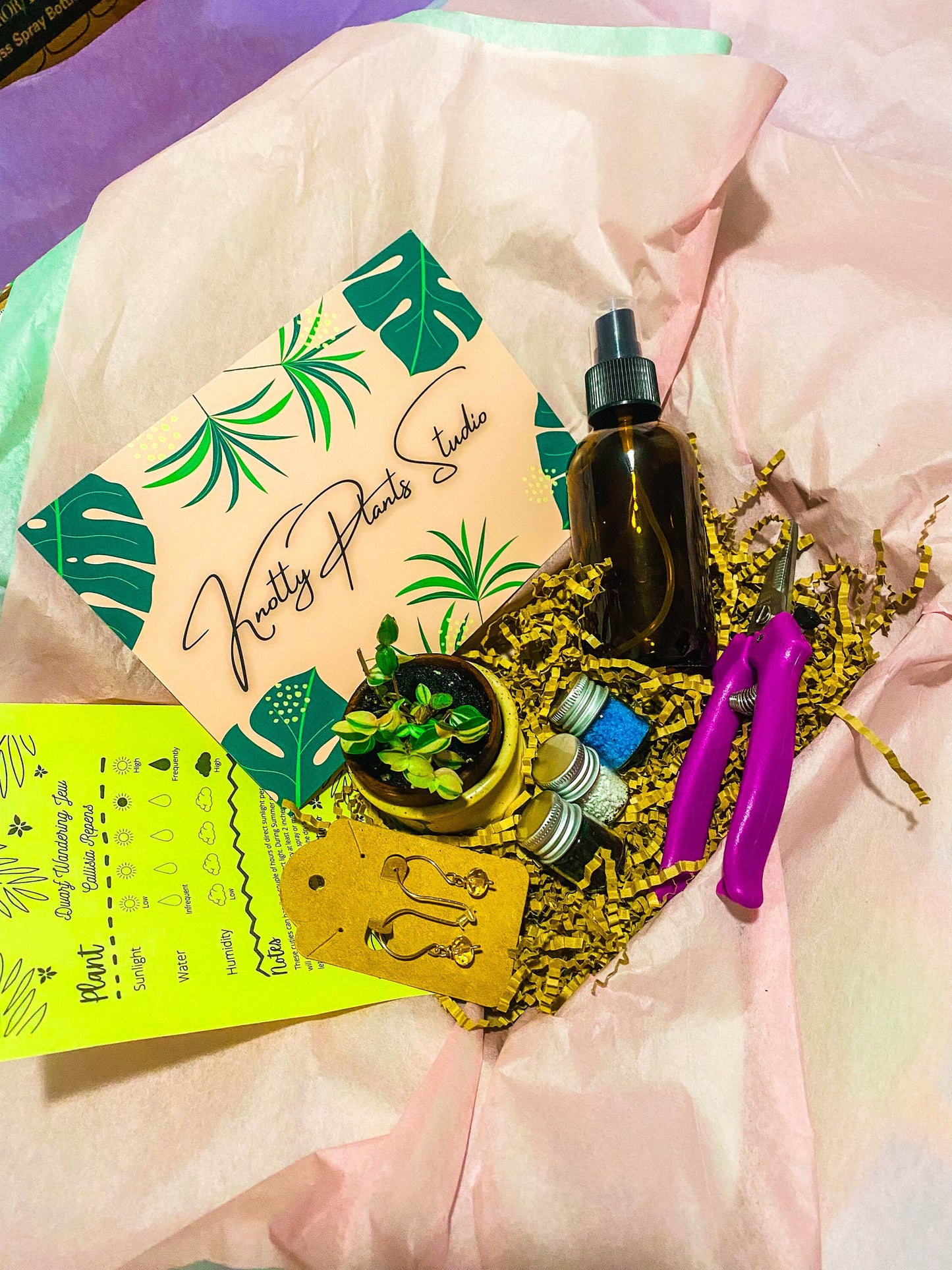 2-Inch Plant Gift Box