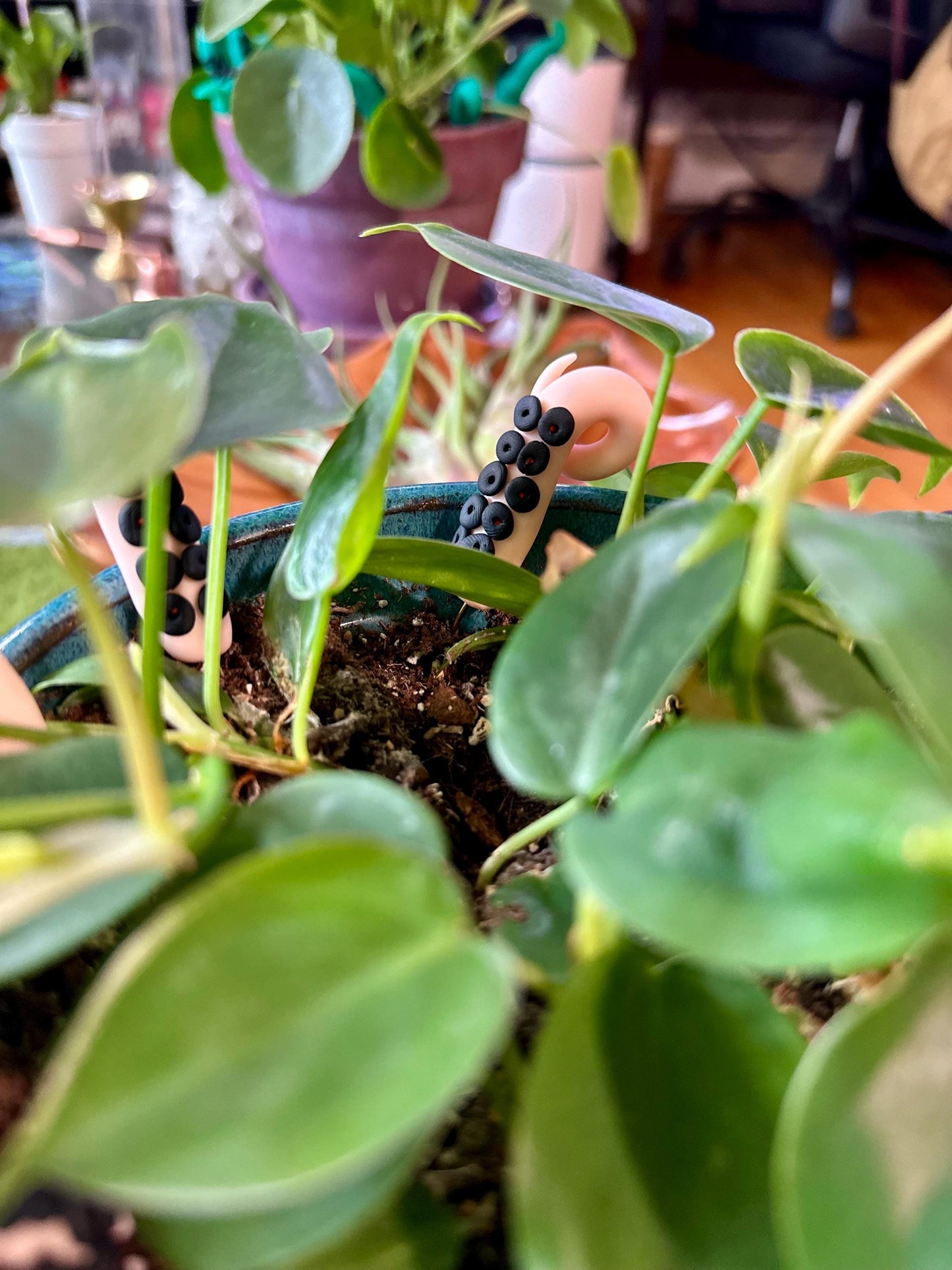 Peach Sea Creature Tentacles with Black