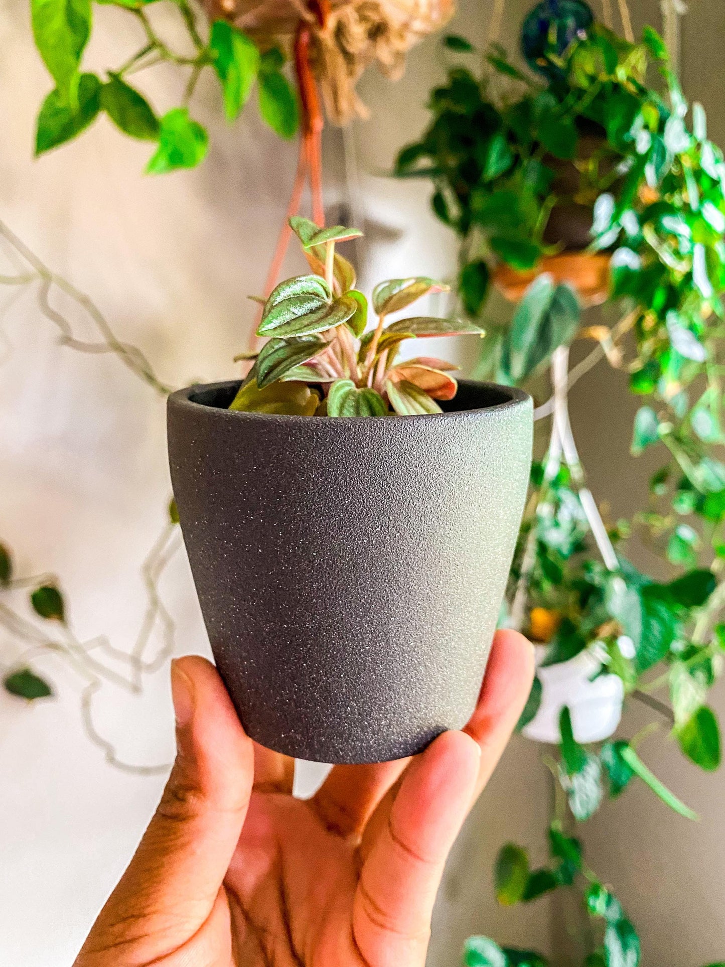 Speckled Ceramic Pot - 2 Inch