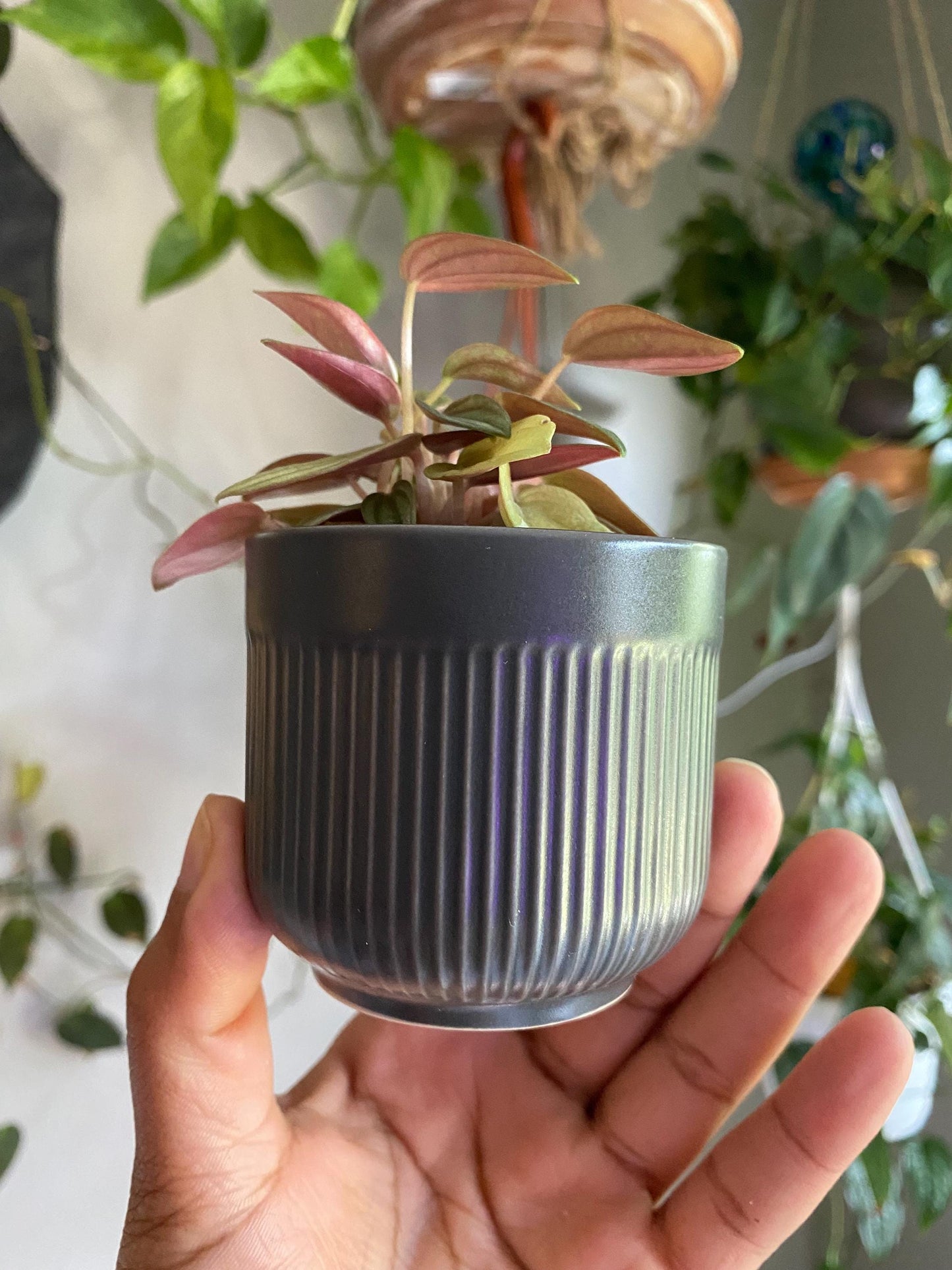 Ribbed Gray Ceramic Pot - 2 Inch