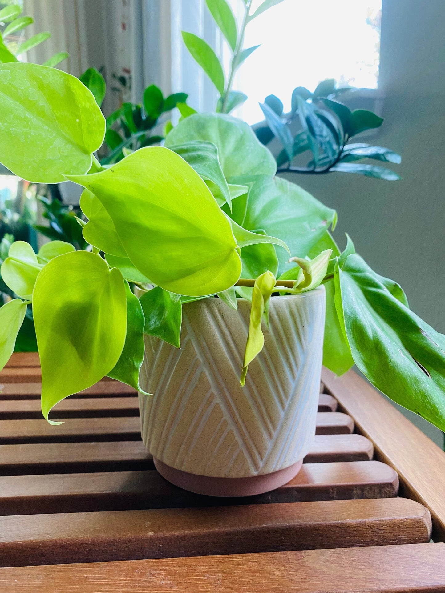 4-Inch White Zig Zag Catcher Pot - Colorful Ceramic Pot