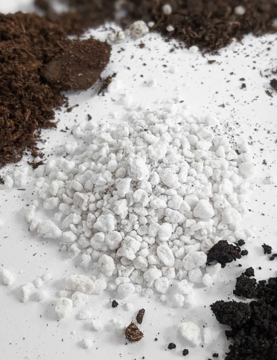 Syngonium Plant Soil Mix - Custom Soil - Organic