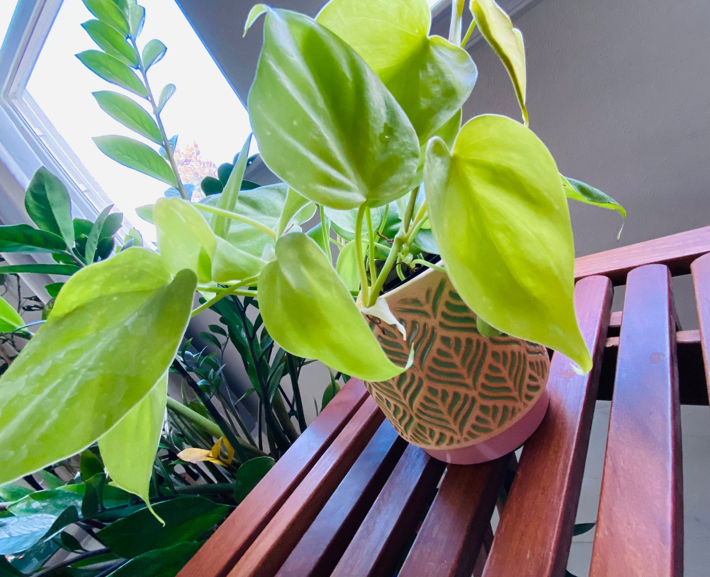 4-Inch Green Leafs Catcher Pot - Cream and Brown Ceramic Pot