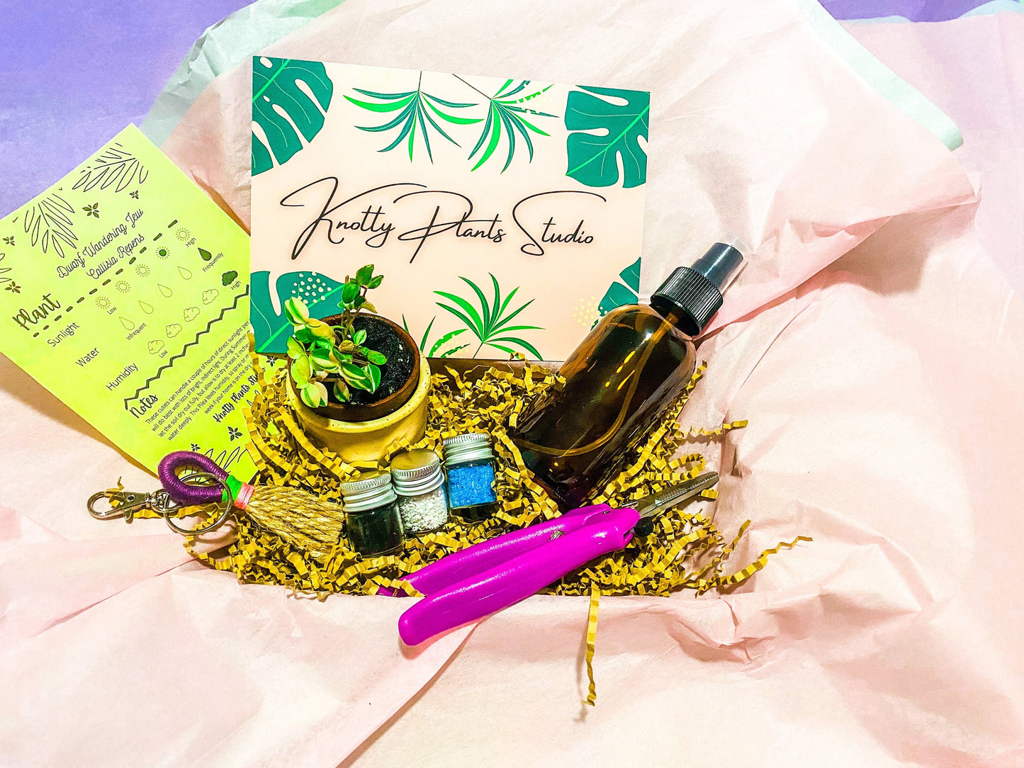 2-Inch Plant Gift Box