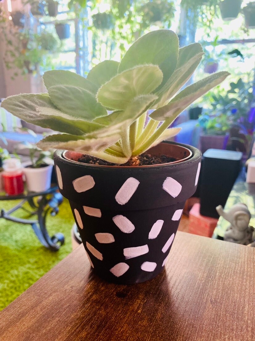Unique Hand Painted Terracotta Pot for Plants - Pick Your Colors