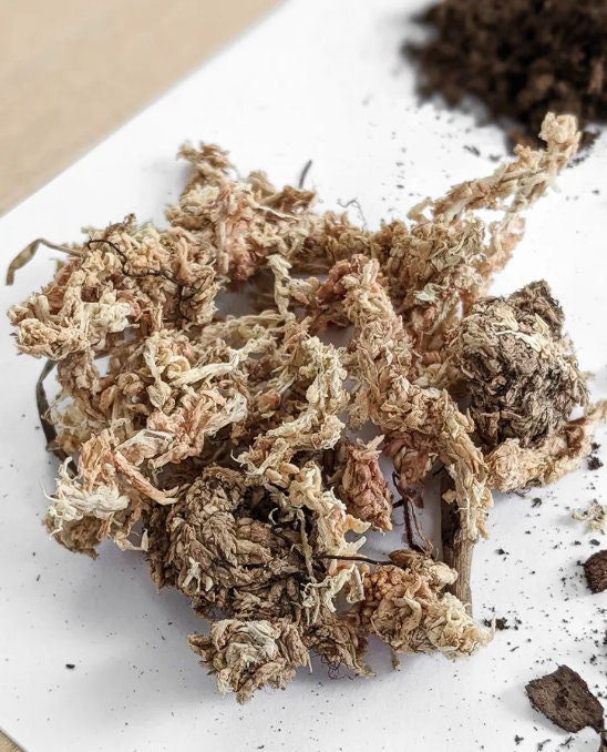 Peperomia Soil Mix - Custom Soil - Organic