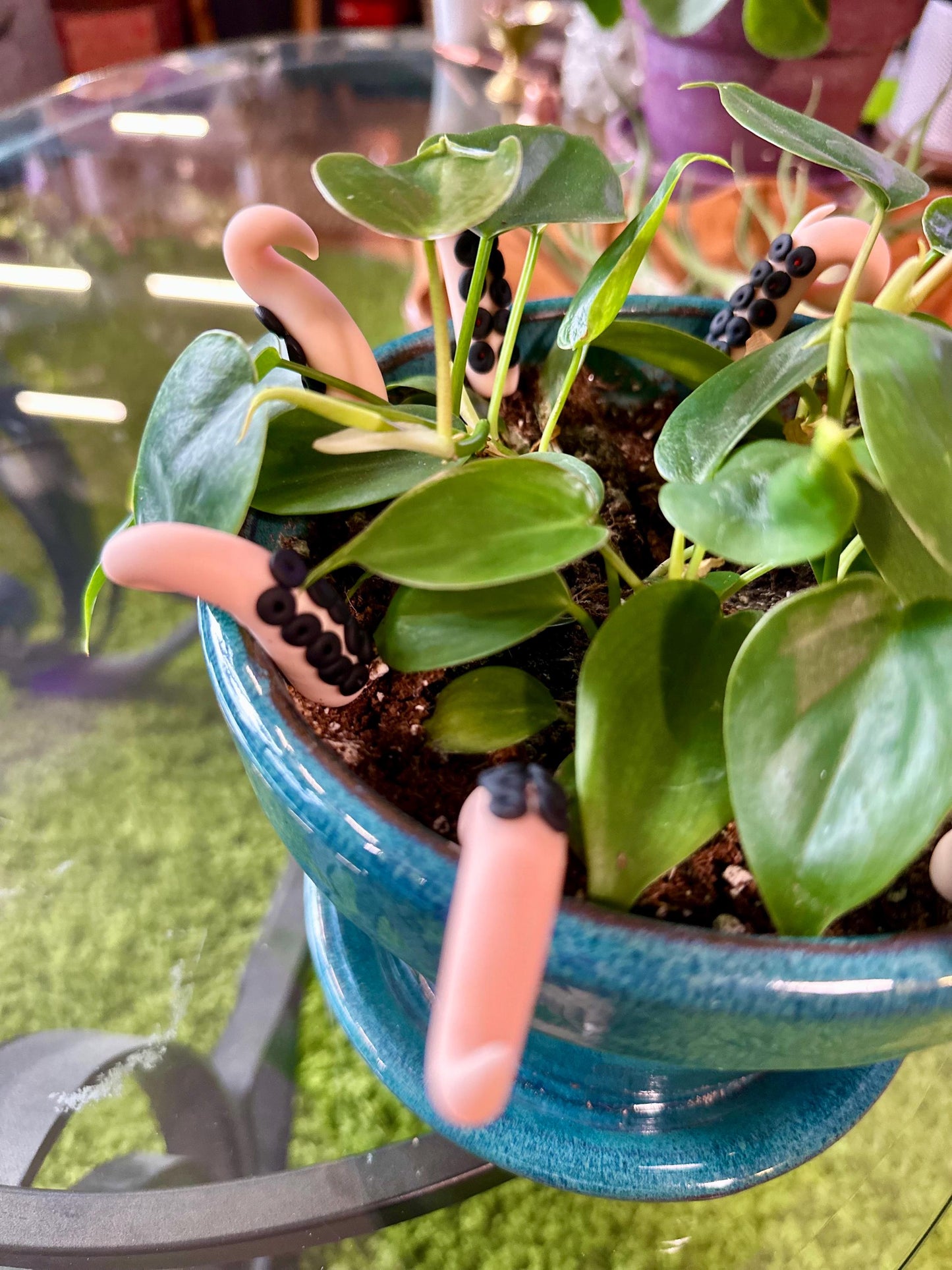 Peach Sea Creature Tentacles with Black