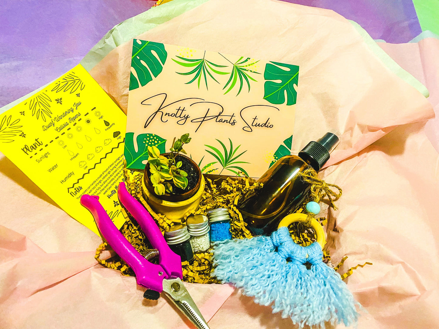 2-Inch Plant Gift Box