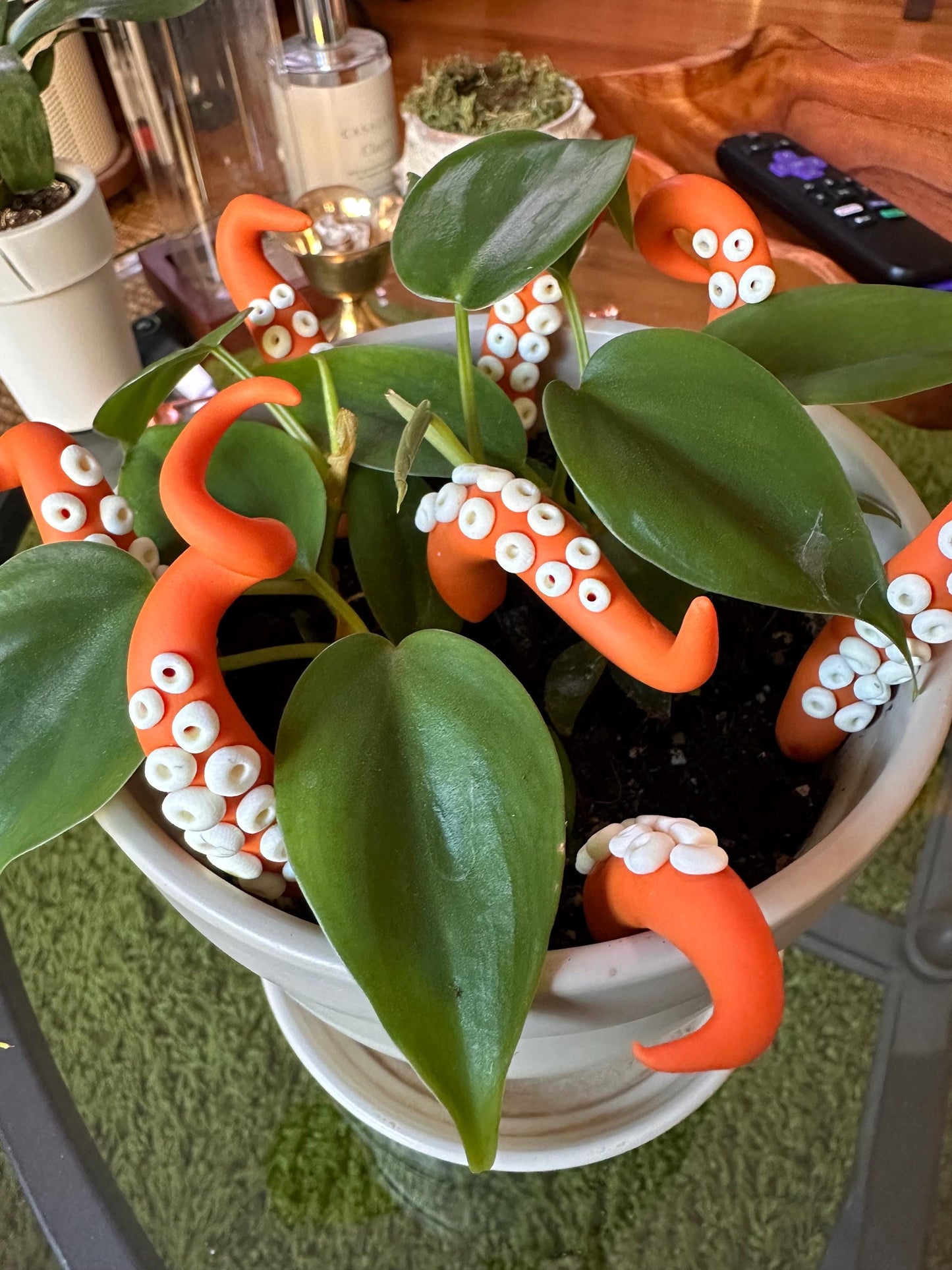 Orange Sea Creature Tentacles