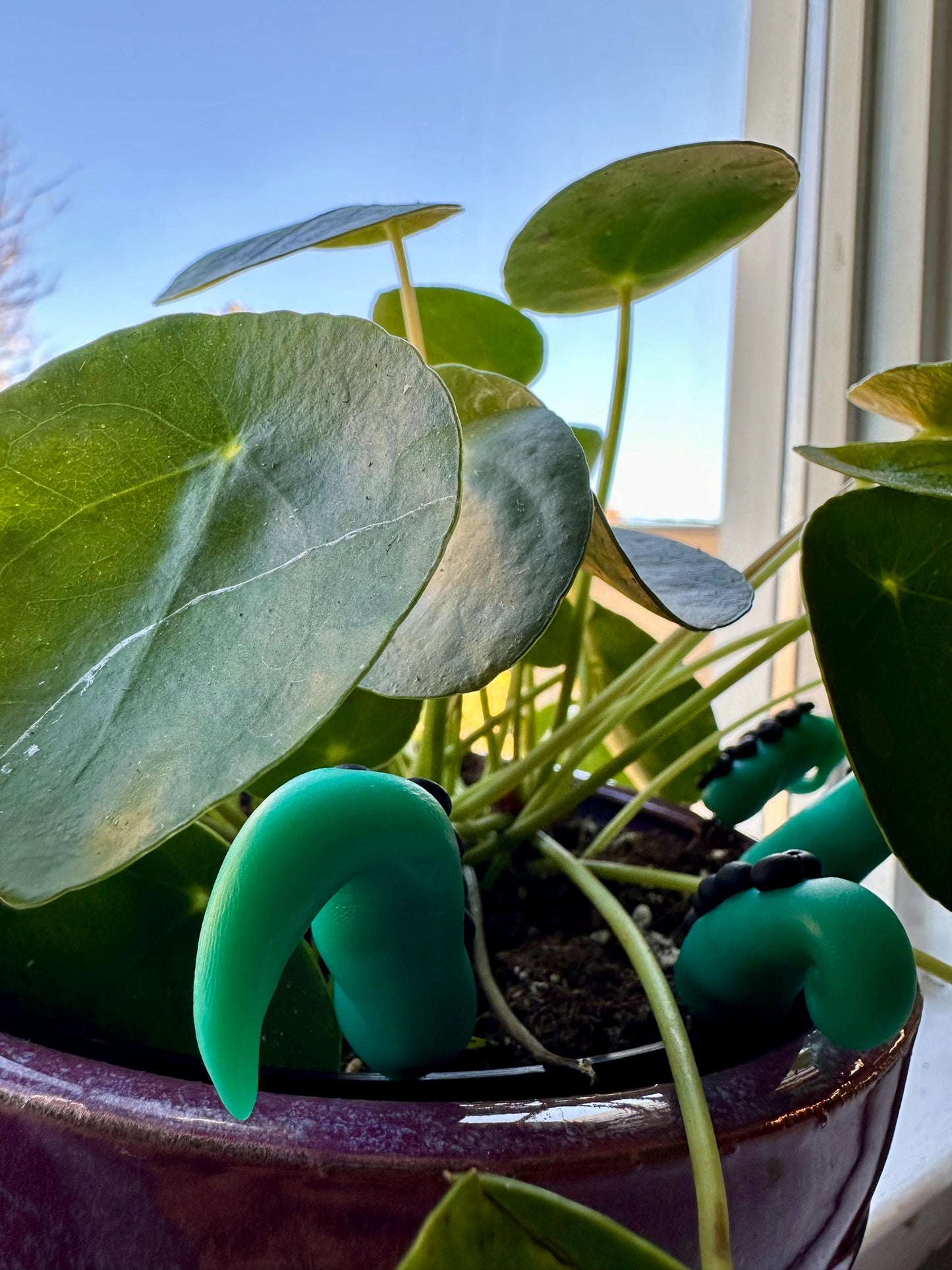 Green & Black Sea Creature Tentacles