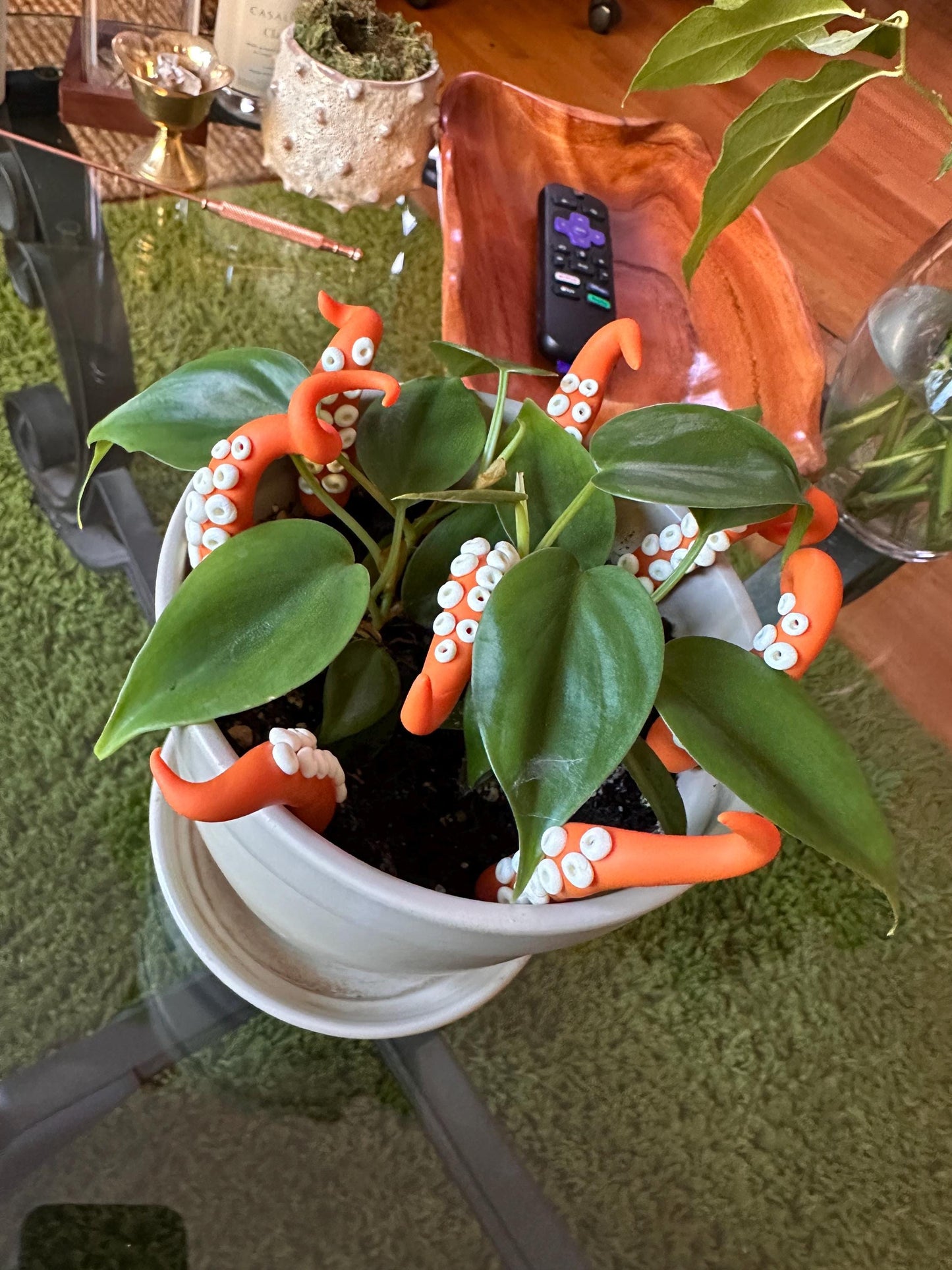 Orange Sea Creature Tentacles