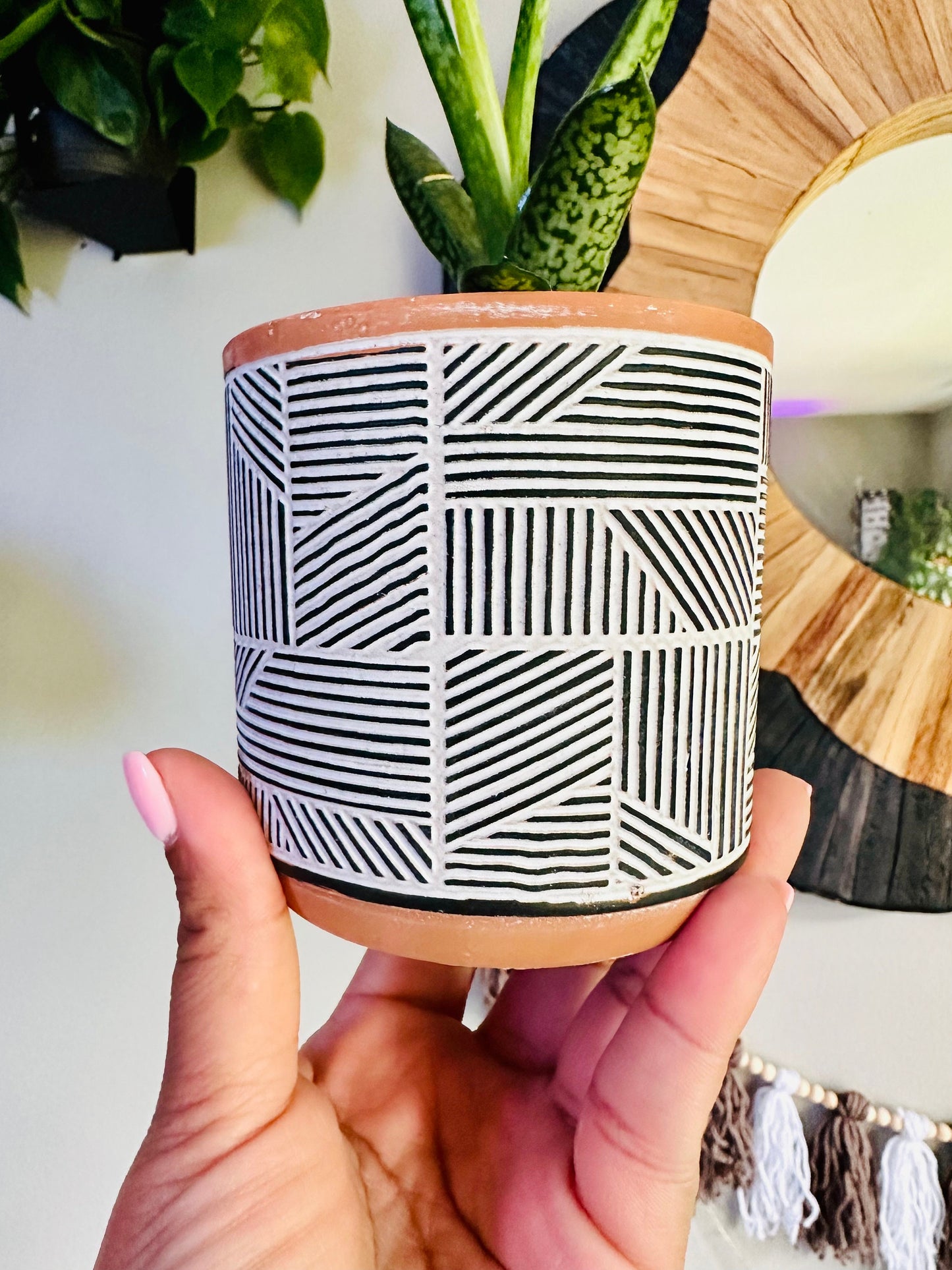 3.5 Inch Terracotta Planter - Ceramic Pot - Black & White Style