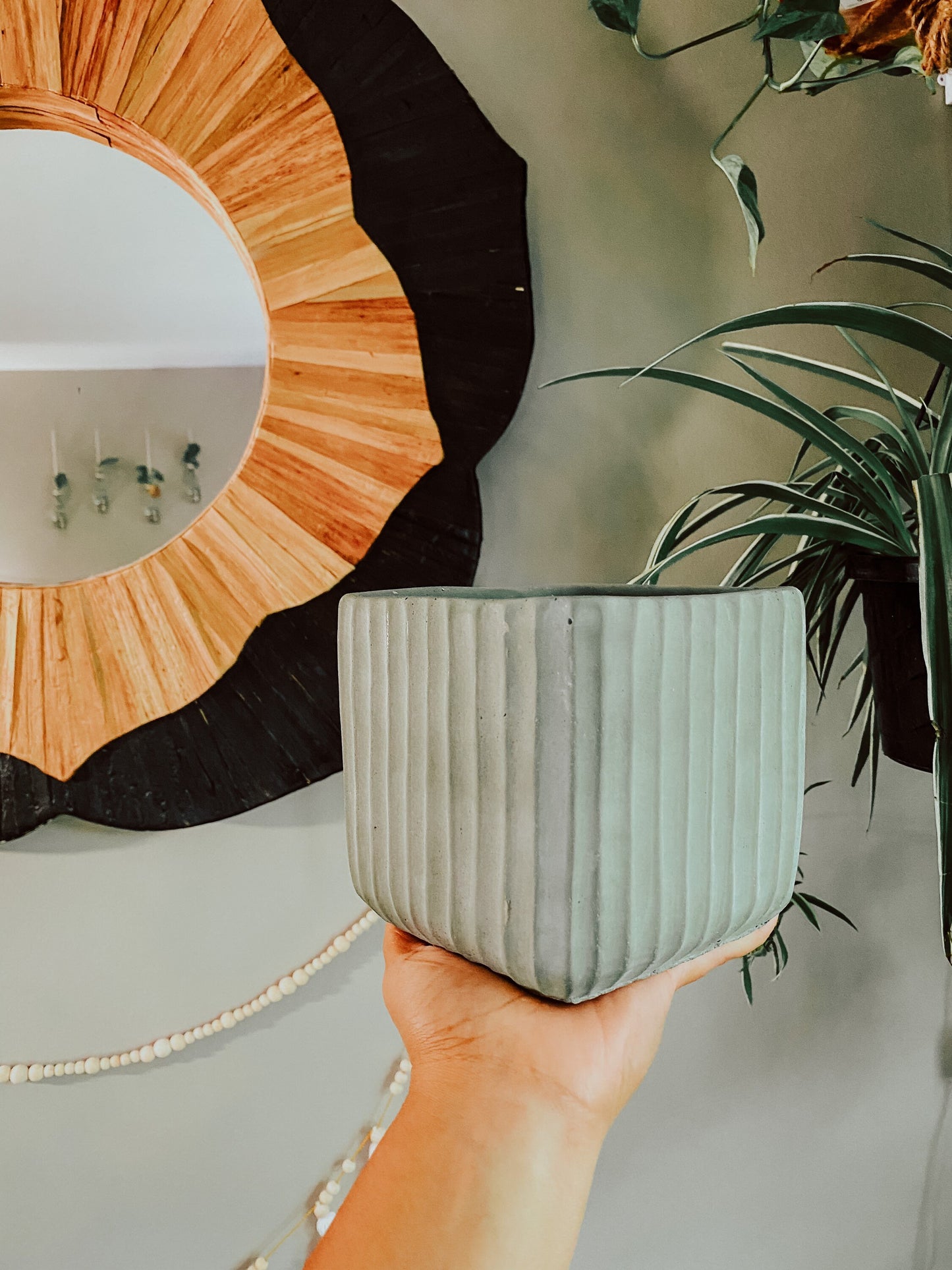 Green Neutral Ribbed Pot - Ceramic 5.5 Inch Catcher Pot