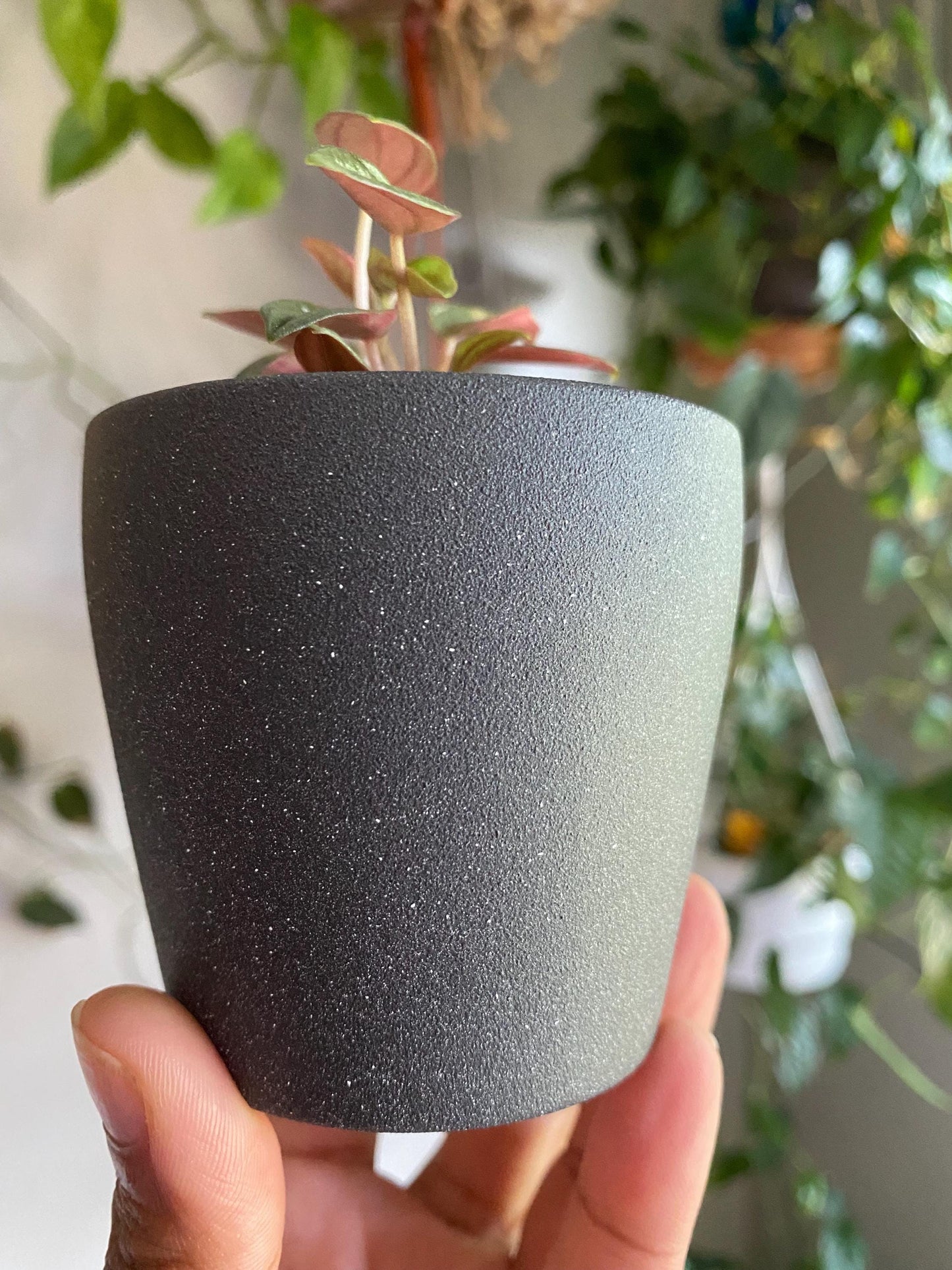 Speckled Ceramic Pot - 2 Inch