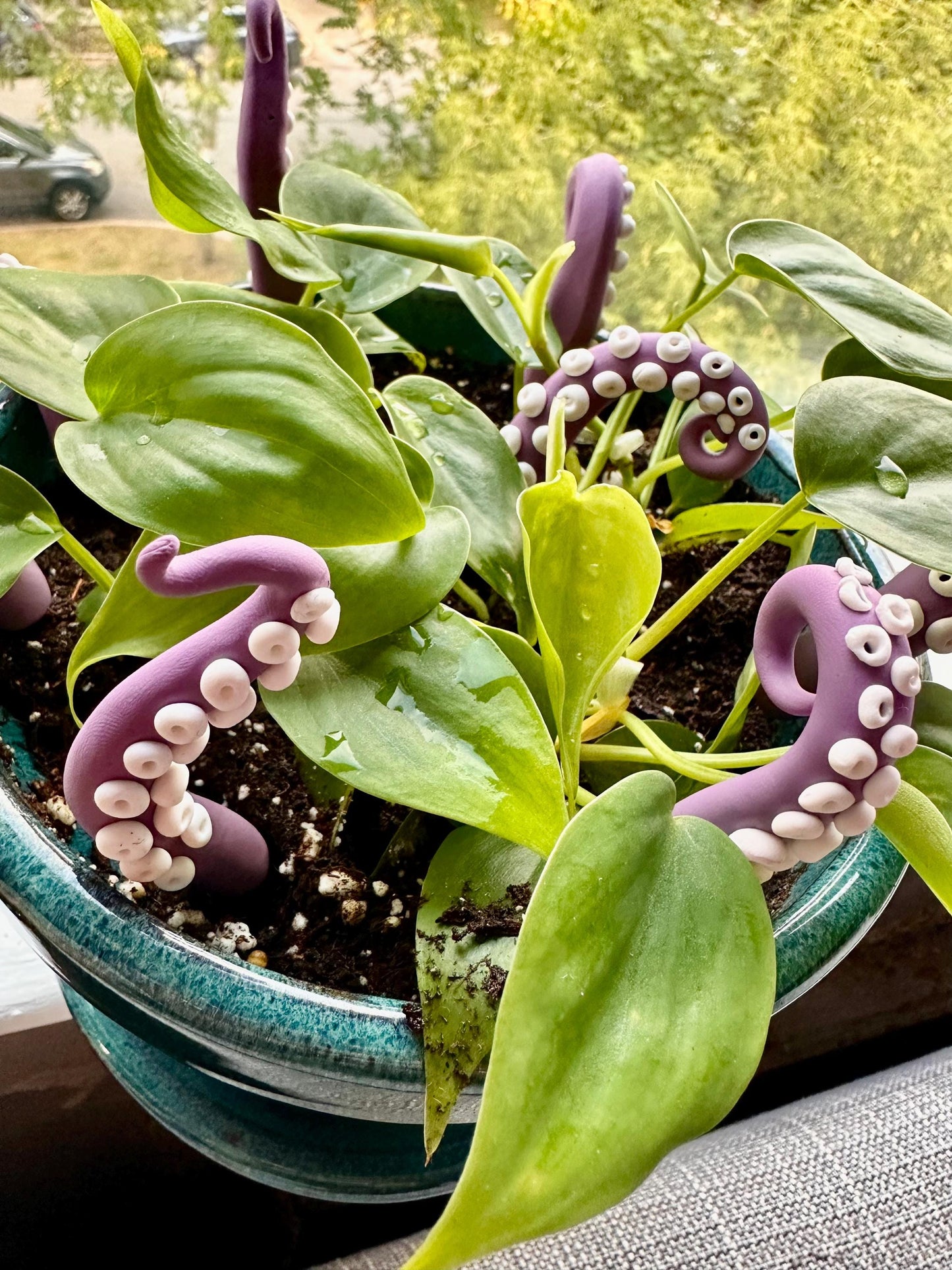 Purple & White Sea Creature Tentacles