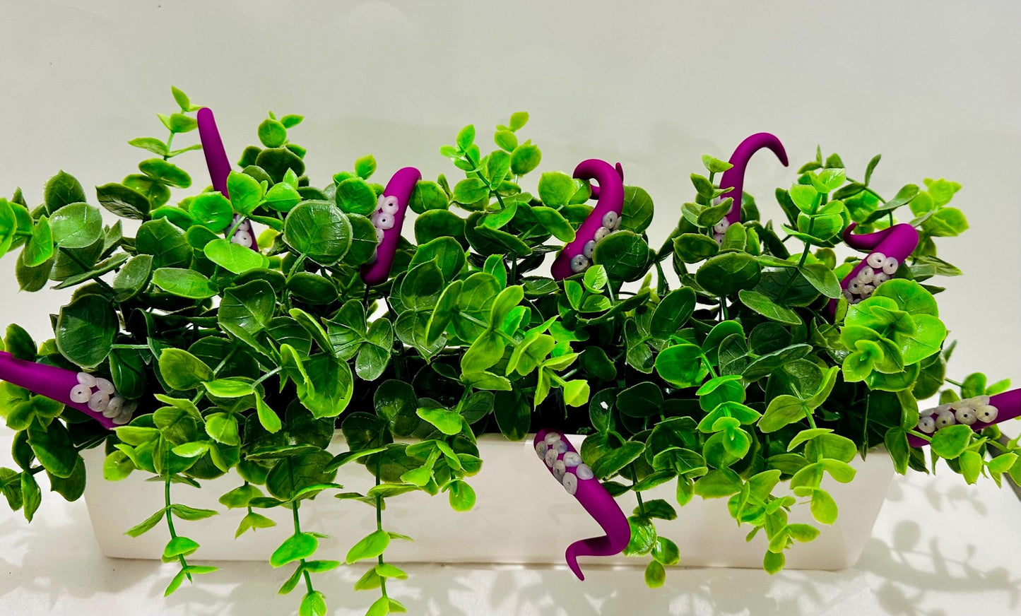 Dark Pink and Clear Sea Creature Tentacles with Black