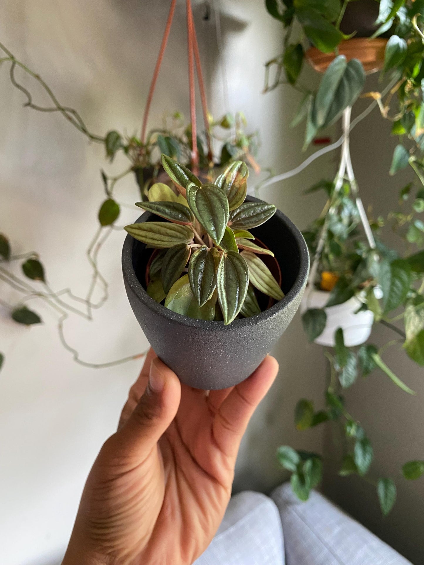 Speckled Ceramic Pot - 2 Inch