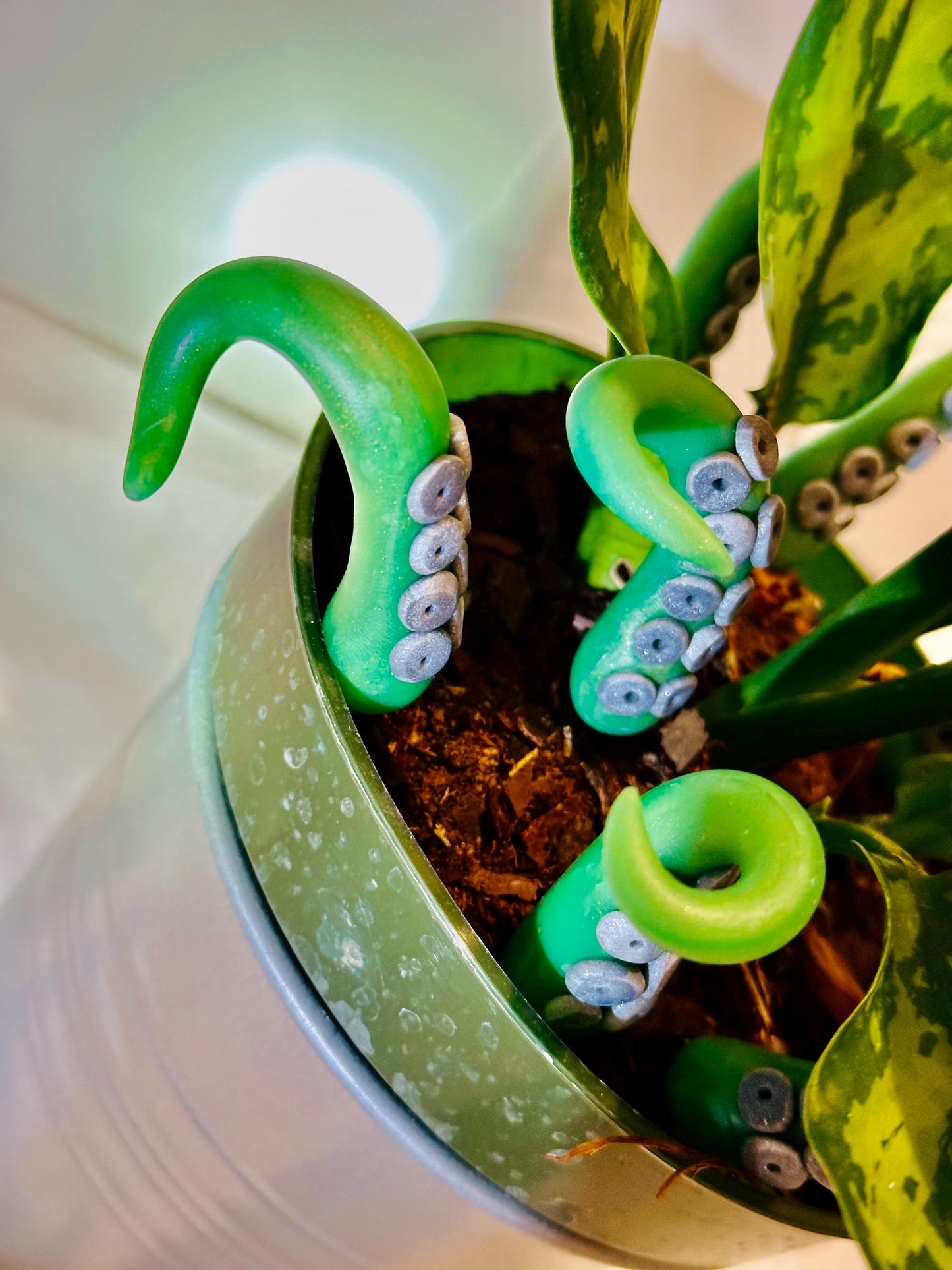 Marble Green & Black Sea Creature Tentacles