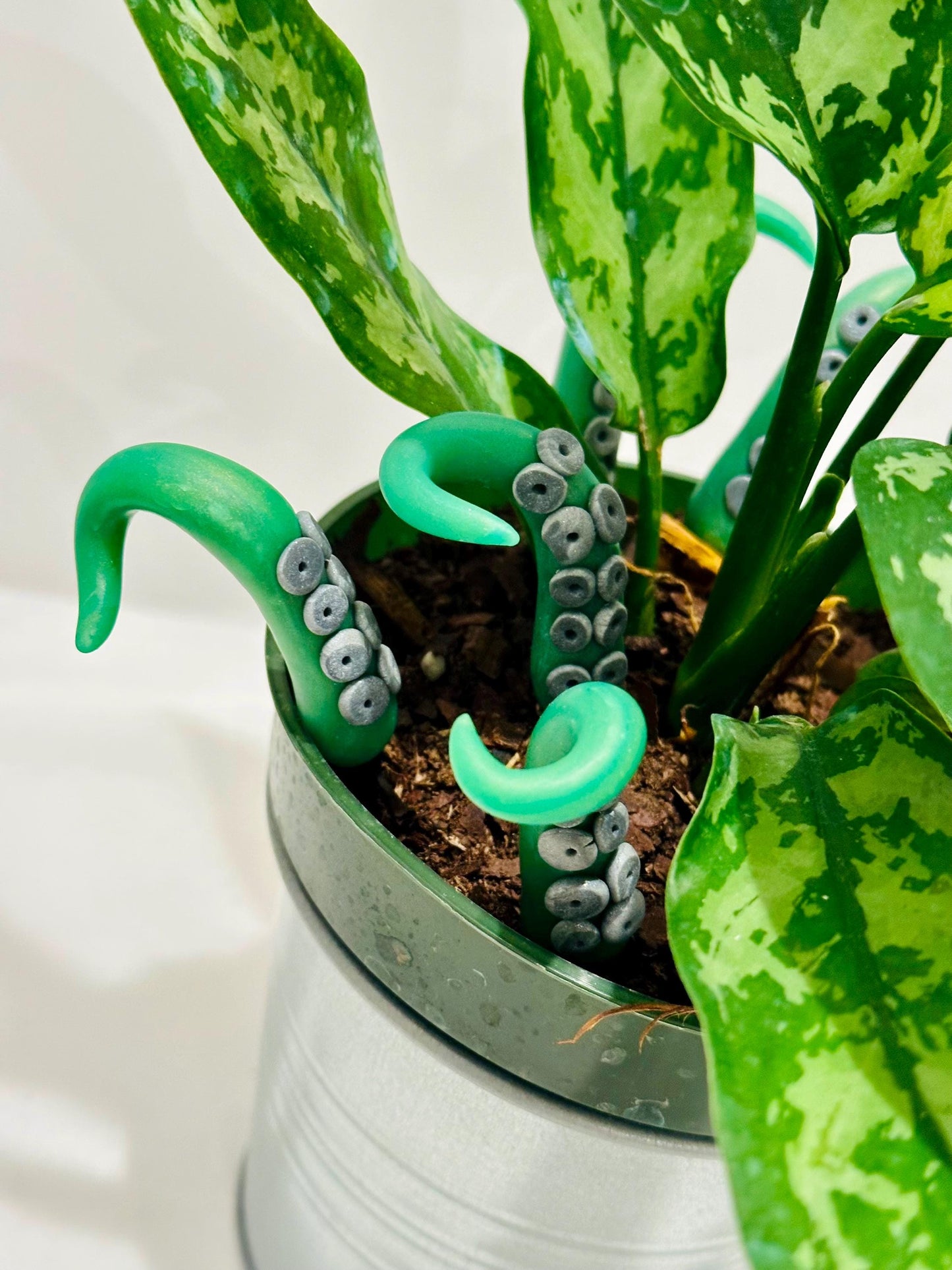 Marble Green & Black Sea Creature Tentacles