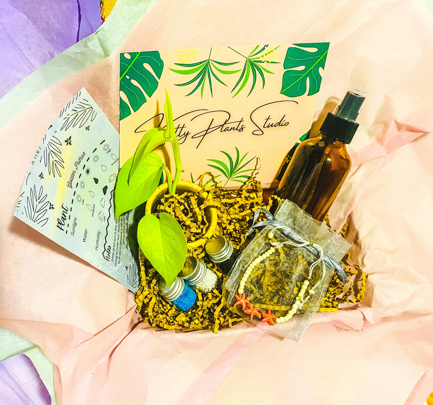 2-Inch Plant Gift Box