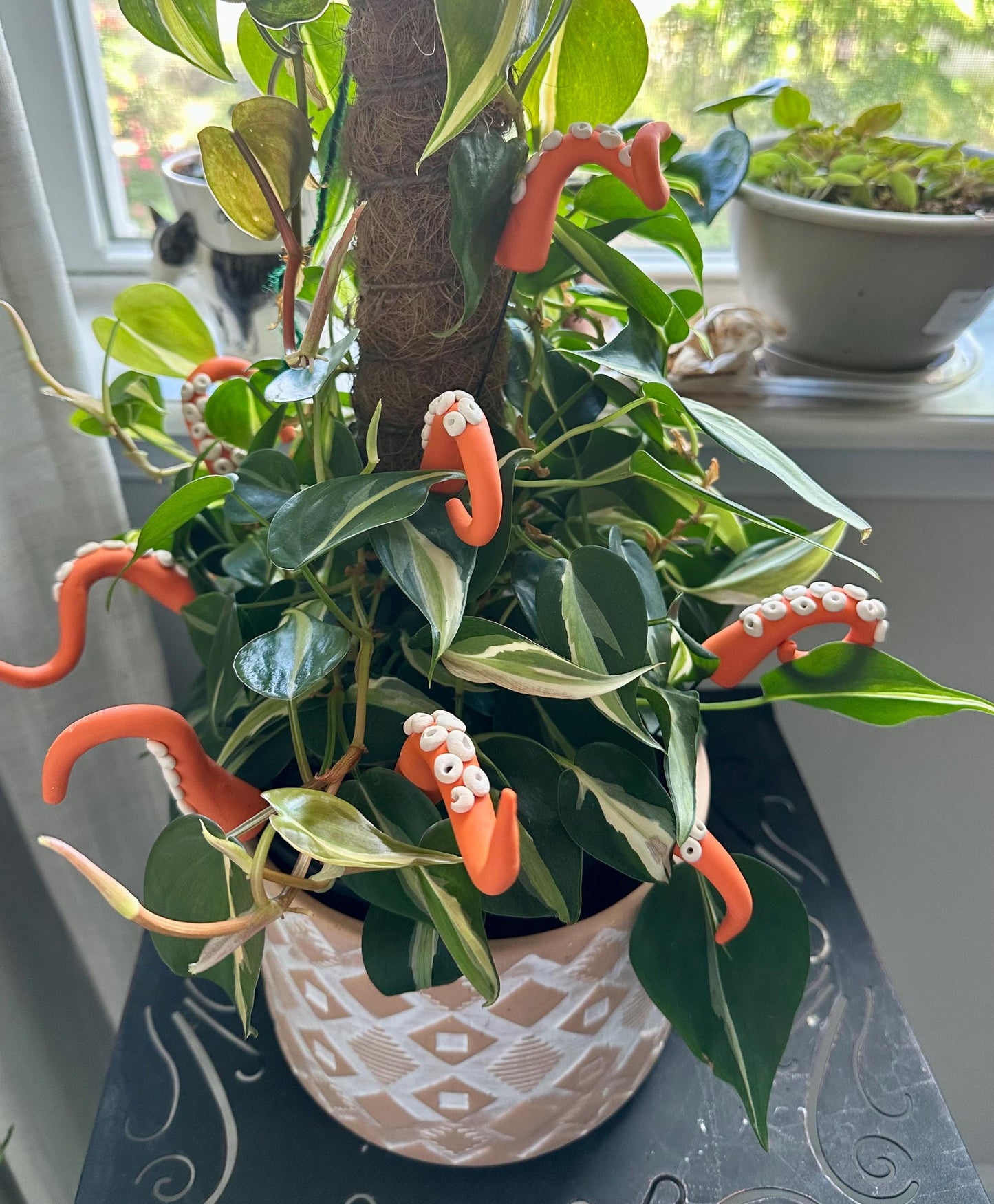 Orange Sea Creature Tentacles