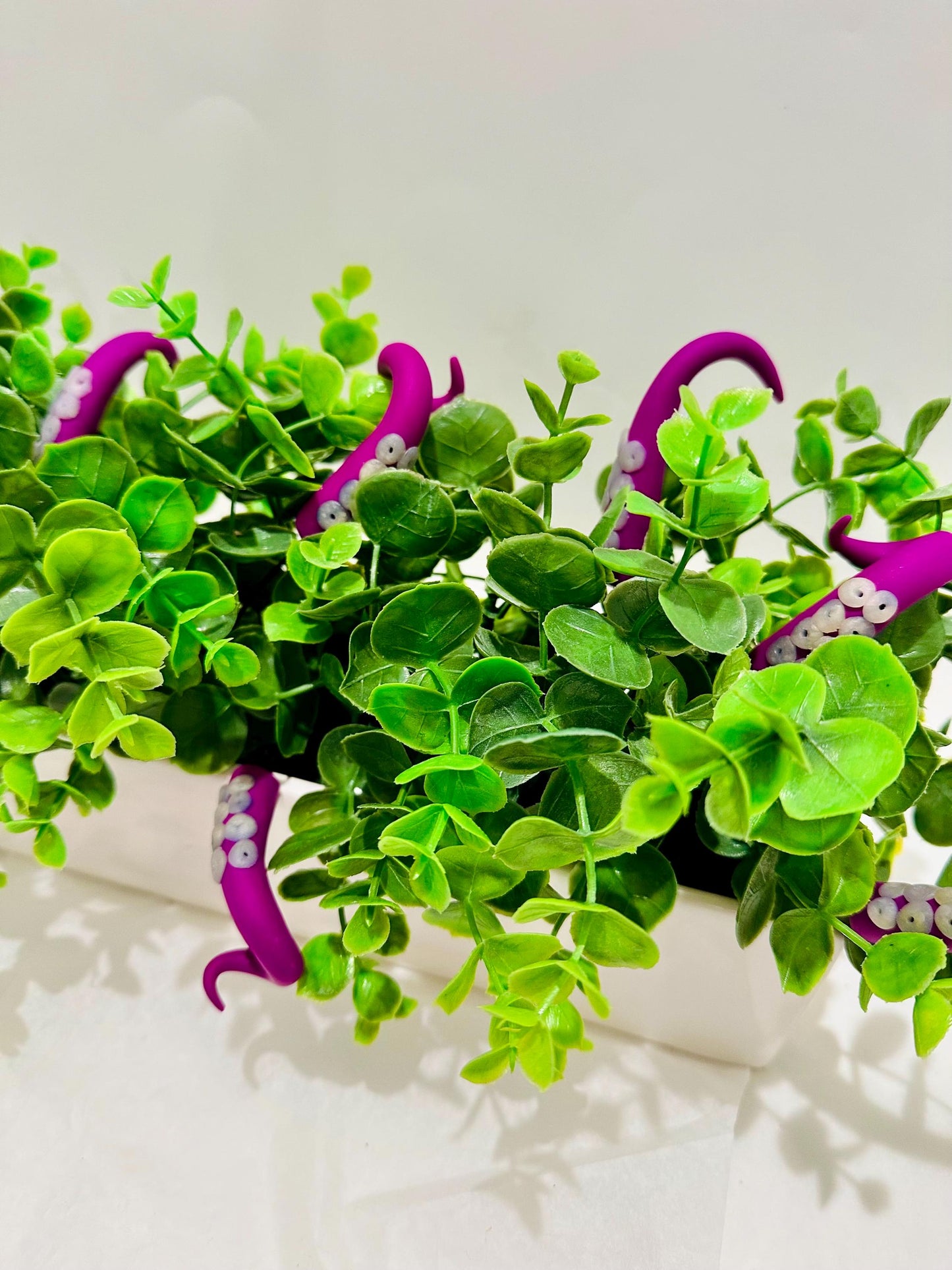 Dark Pink and Clear Sea Creature Tentacles with Black