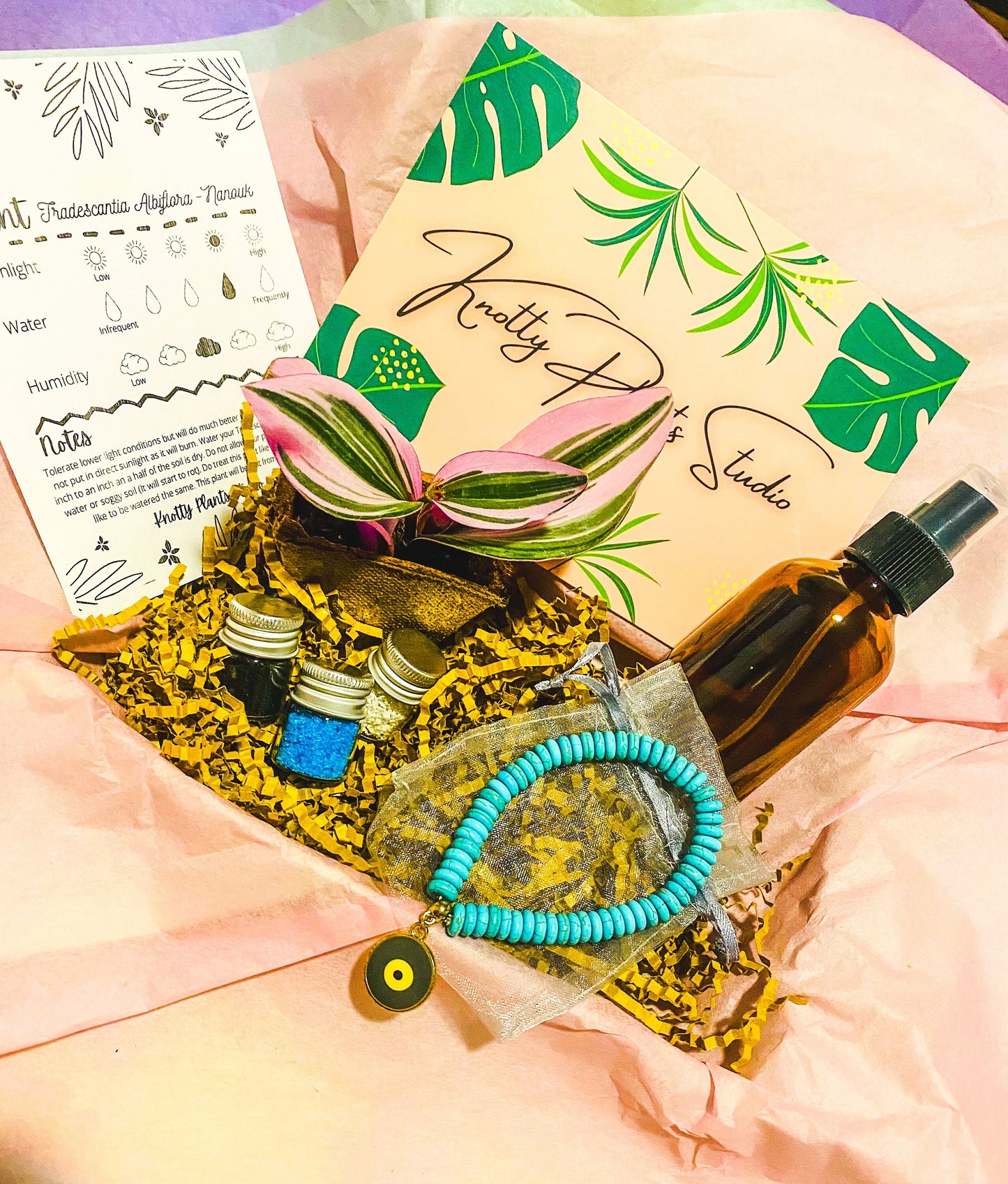 2-Inch Plant Gift Box