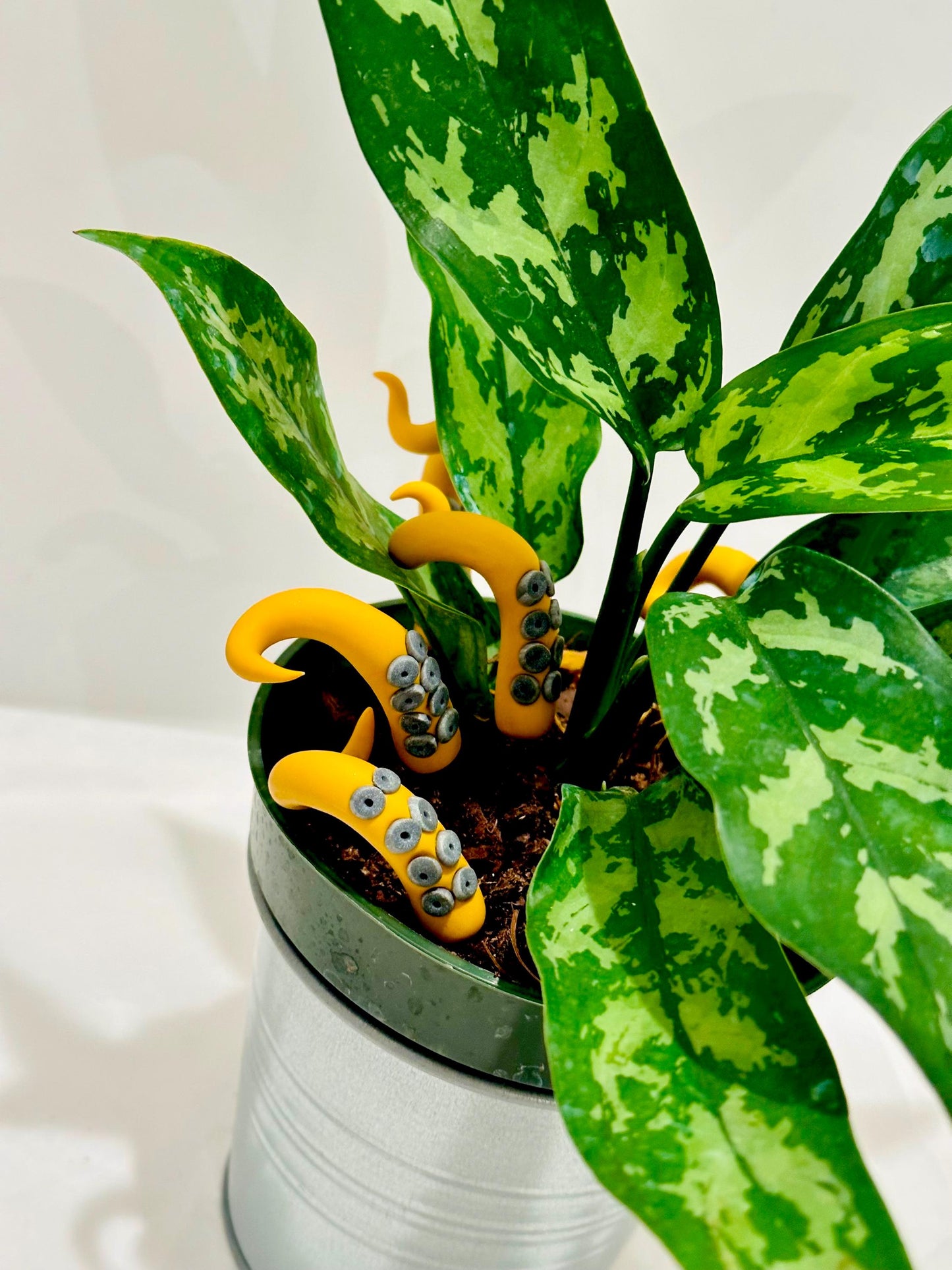 Mustard and Black Sea Creature Tentacles