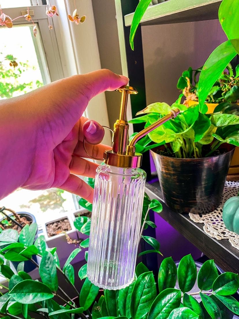 Vintage Gold & Glass Plant Mister - Trigger Spray for Plants / Room Sprays
