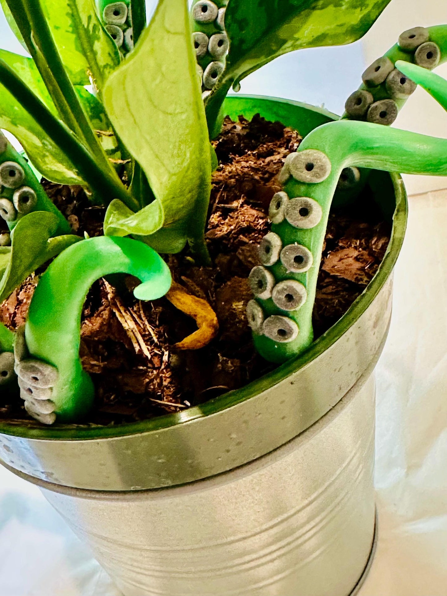 Marble Green & Black Sea Creature Tentacles