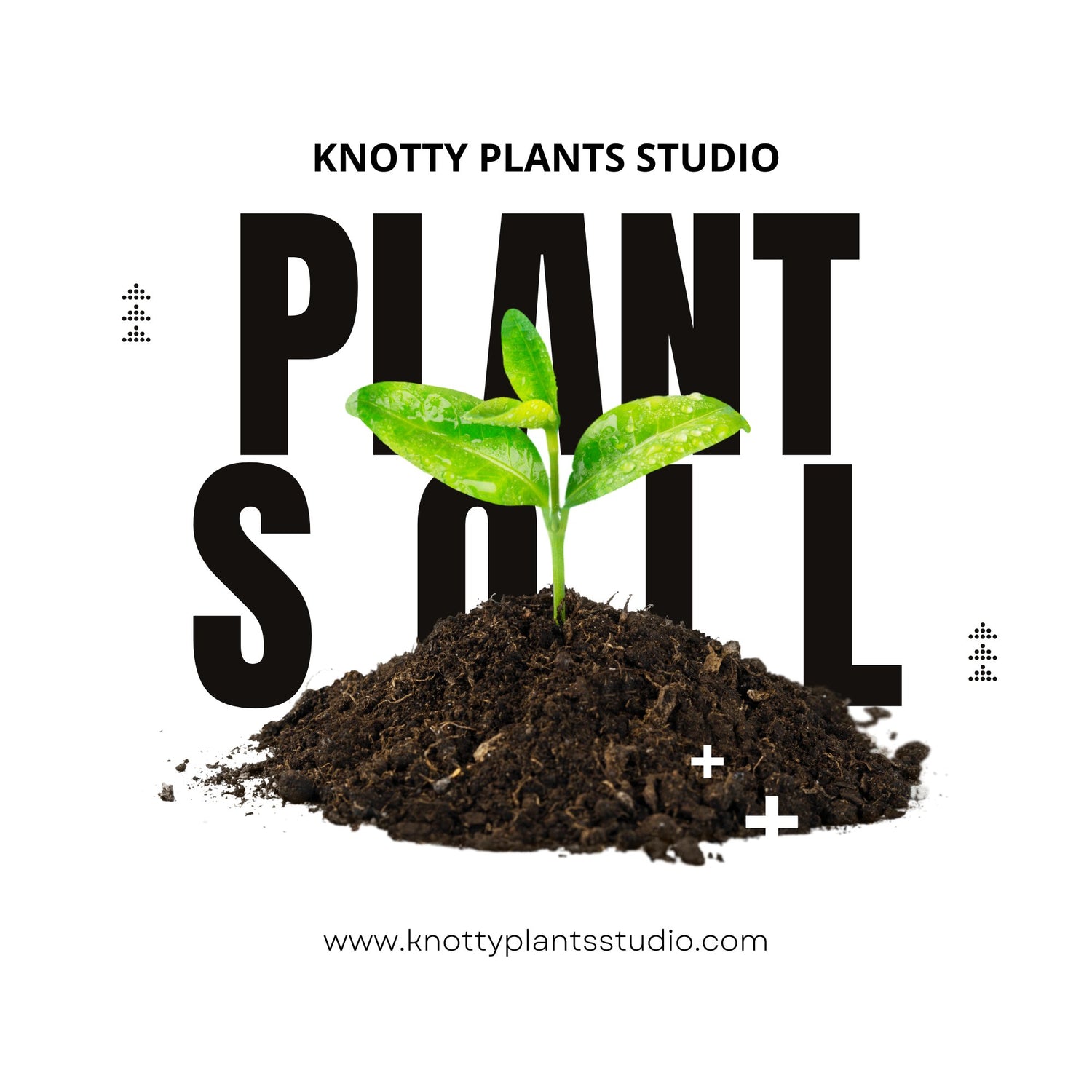 Soil