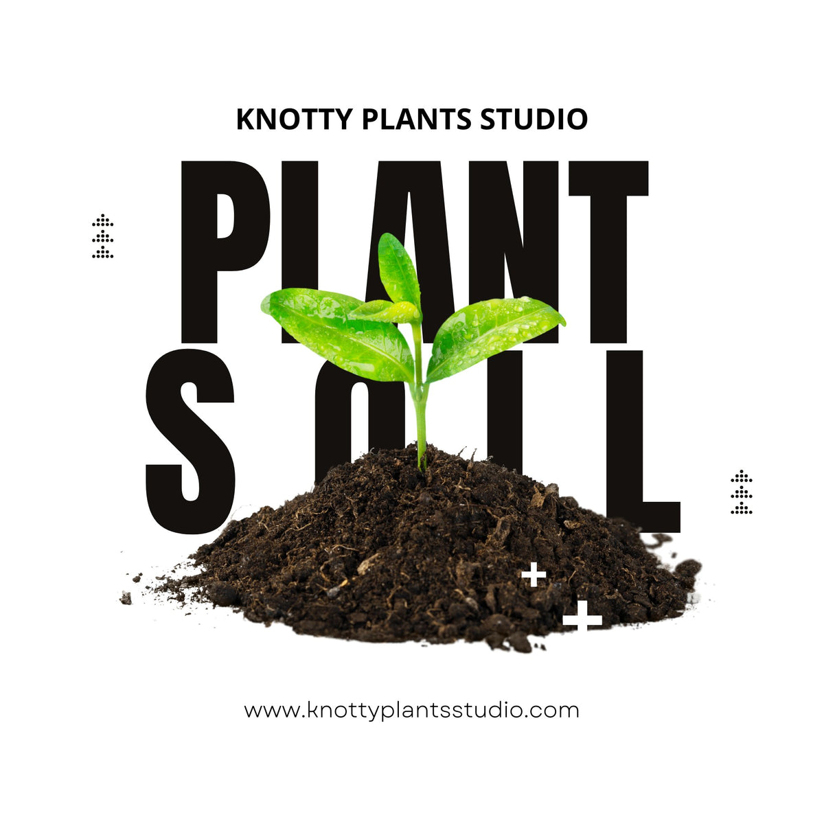 Soil