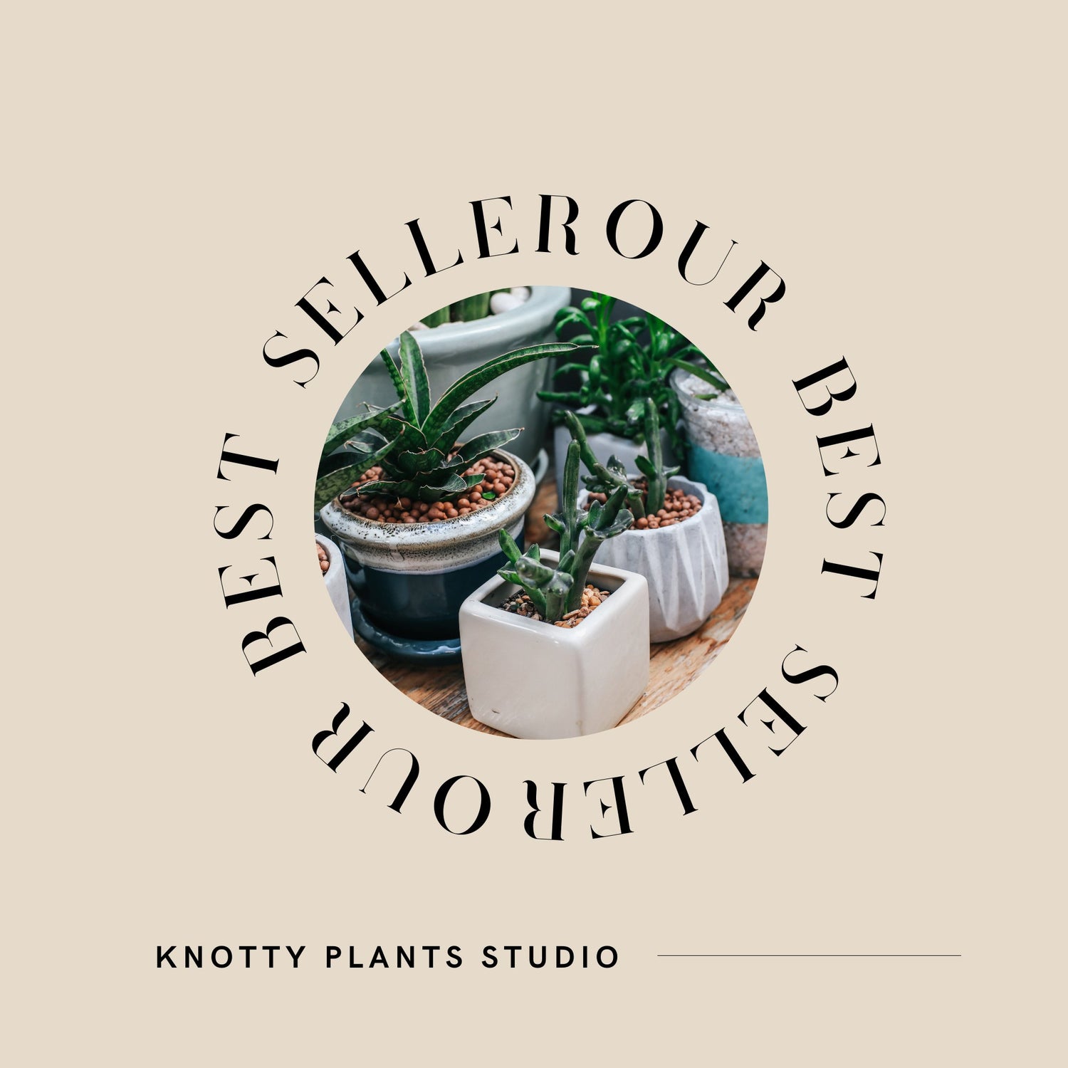 Best Sellers