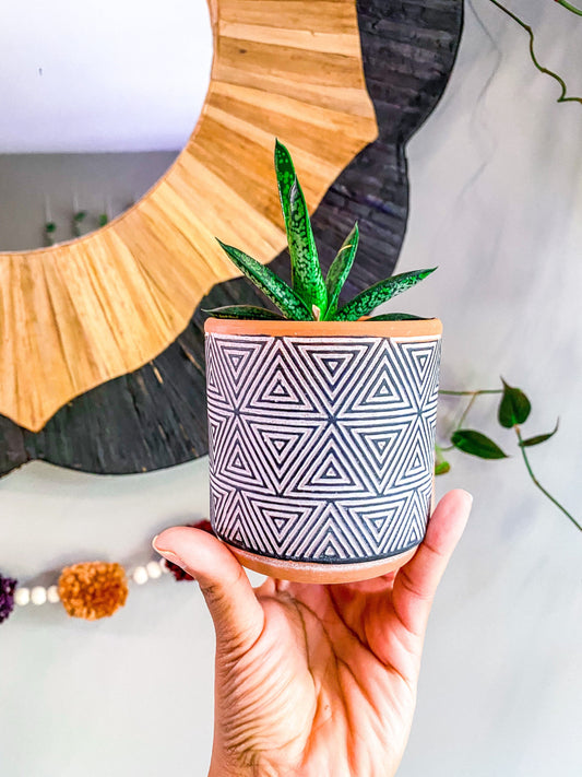3.5 Inch Terracotta Planter - Ceramic Pot