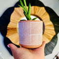 3.5 Inch Terracotta Planter - Ceramic Pot