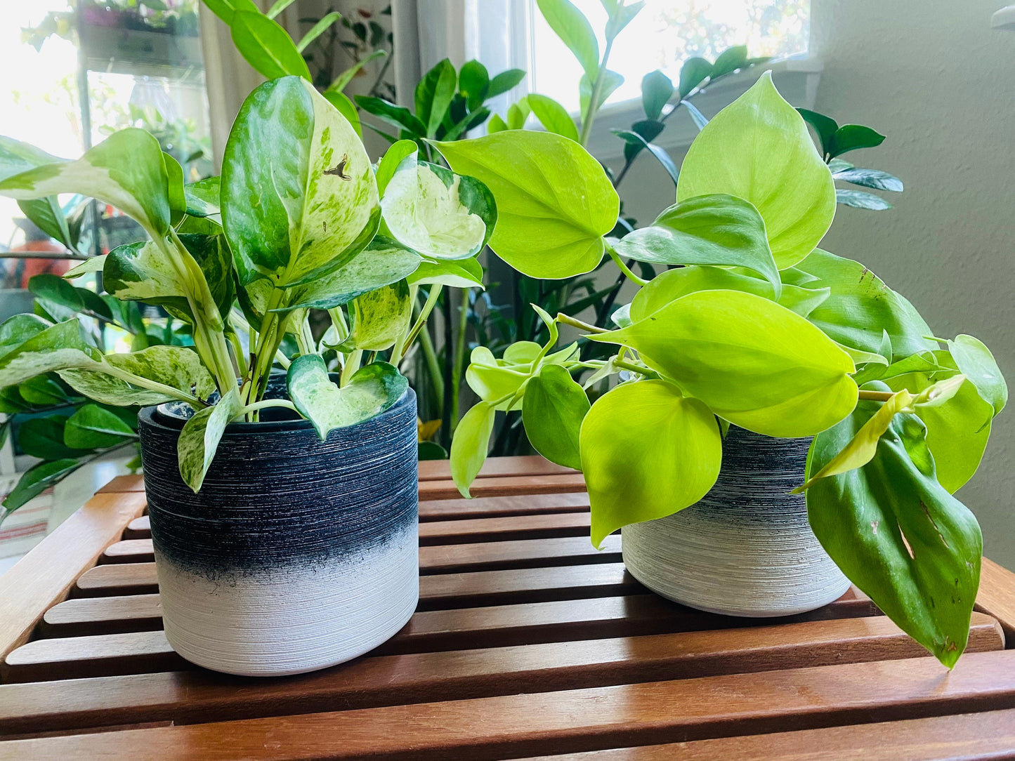 4-Inch Onbre White, Blue, Grey, Black Textured Catcher Pot - Catch Pot