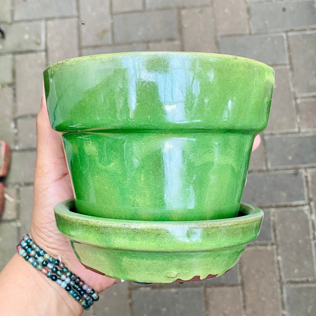 Pick Your Color Ceramic Pot - 4 Inch Pot Size