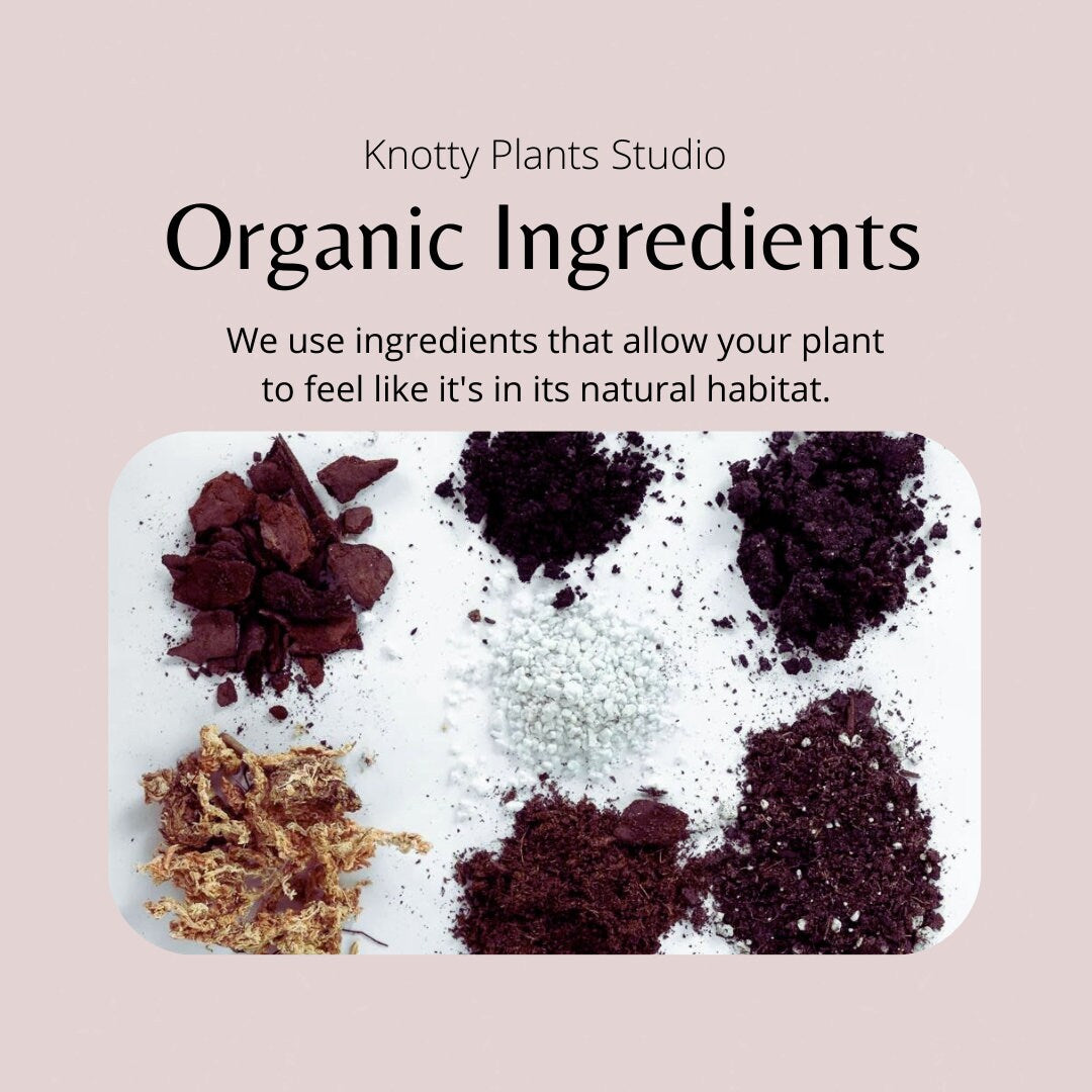 Cactus/Succulent Plant Soil Mix - Custom Soil - Organic