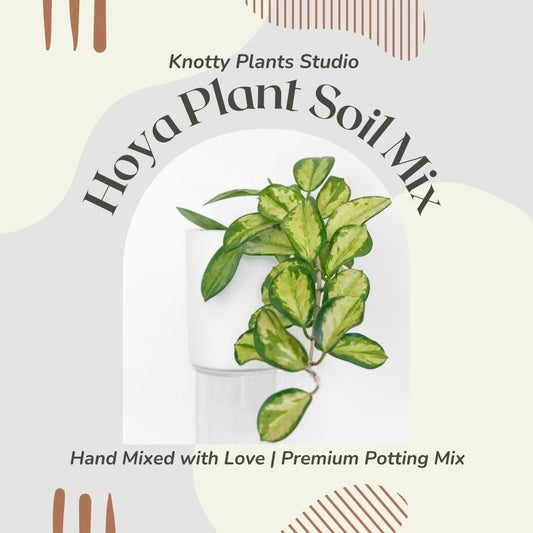 Hoya Soil Mix - Custom Soil - Organic