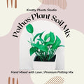 Pothos Soil Mix - Custom Soil - Organic